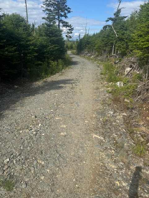 Fitzpatrick's Lake & Campsites