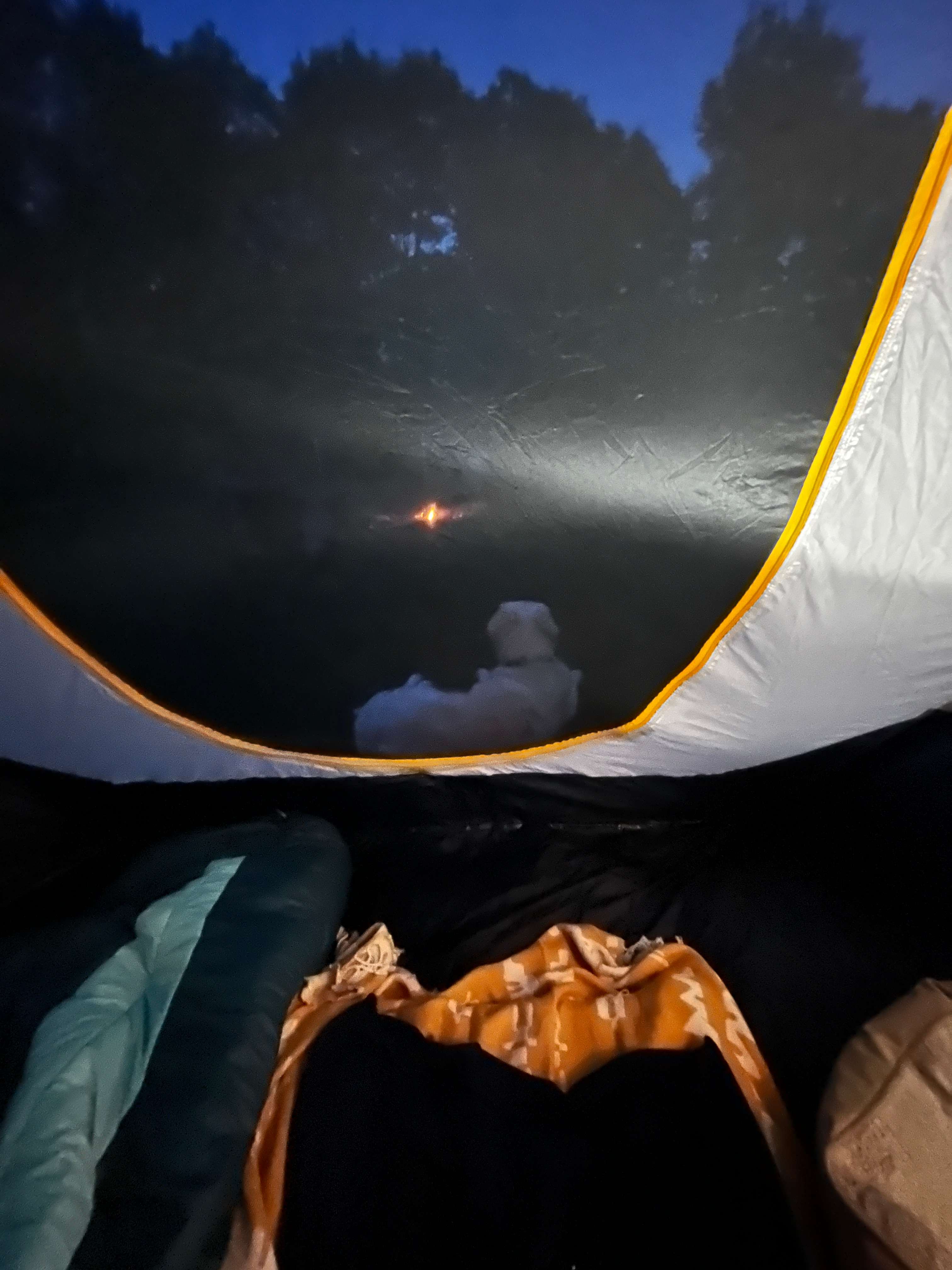 Honey guarding the tent at night
