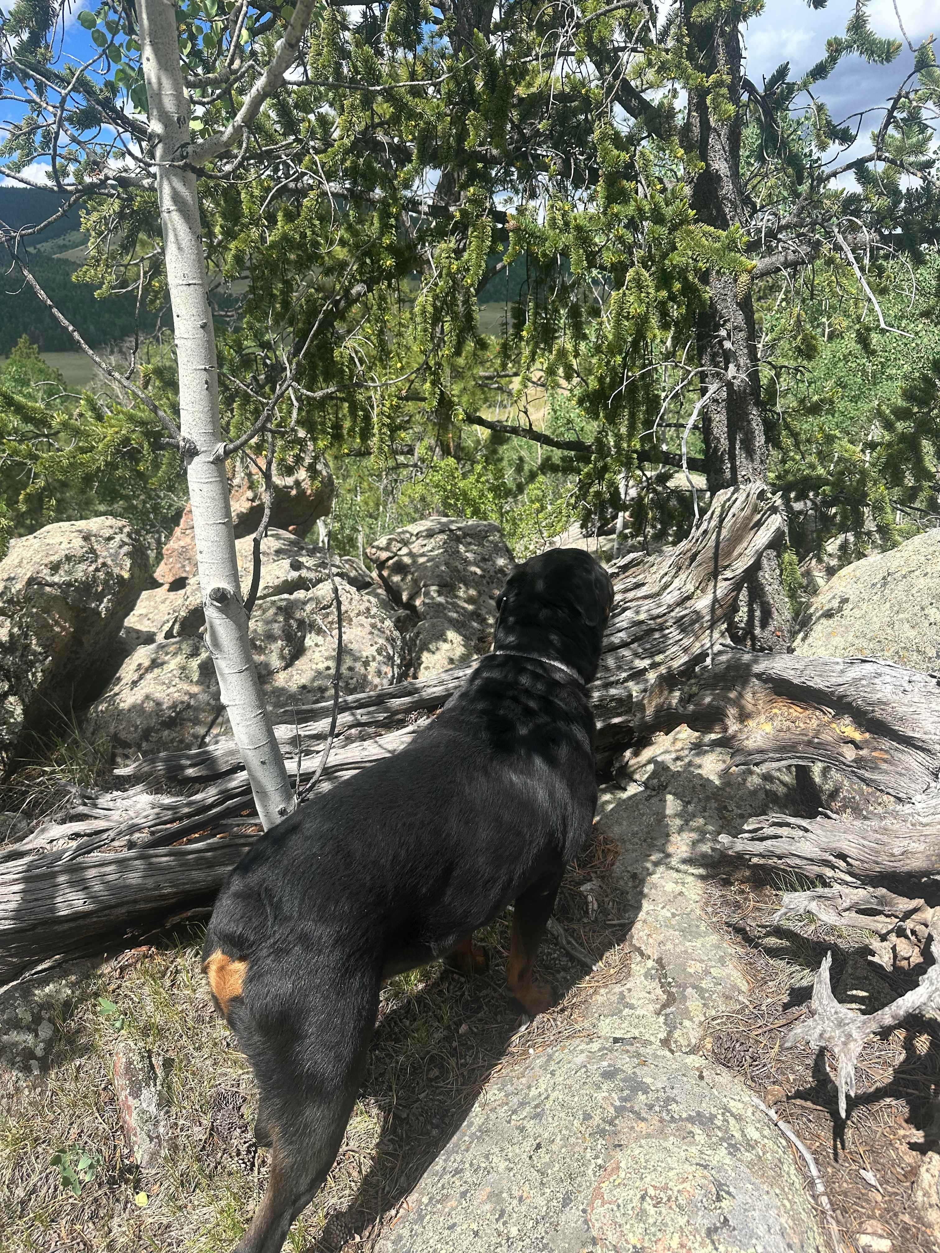 GlampingColorado.com