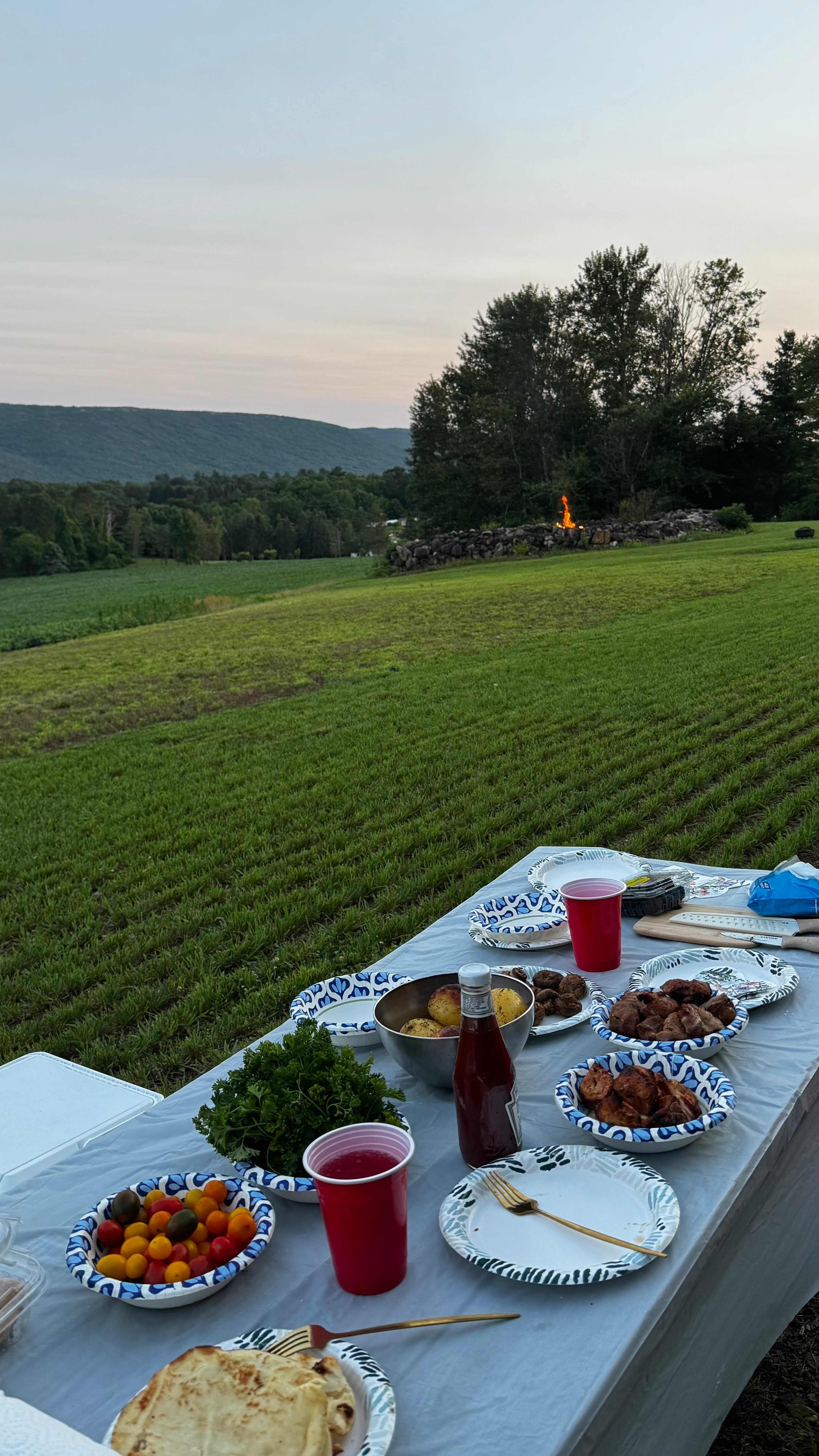 Lehigh Gap view at Josephine’s Farm