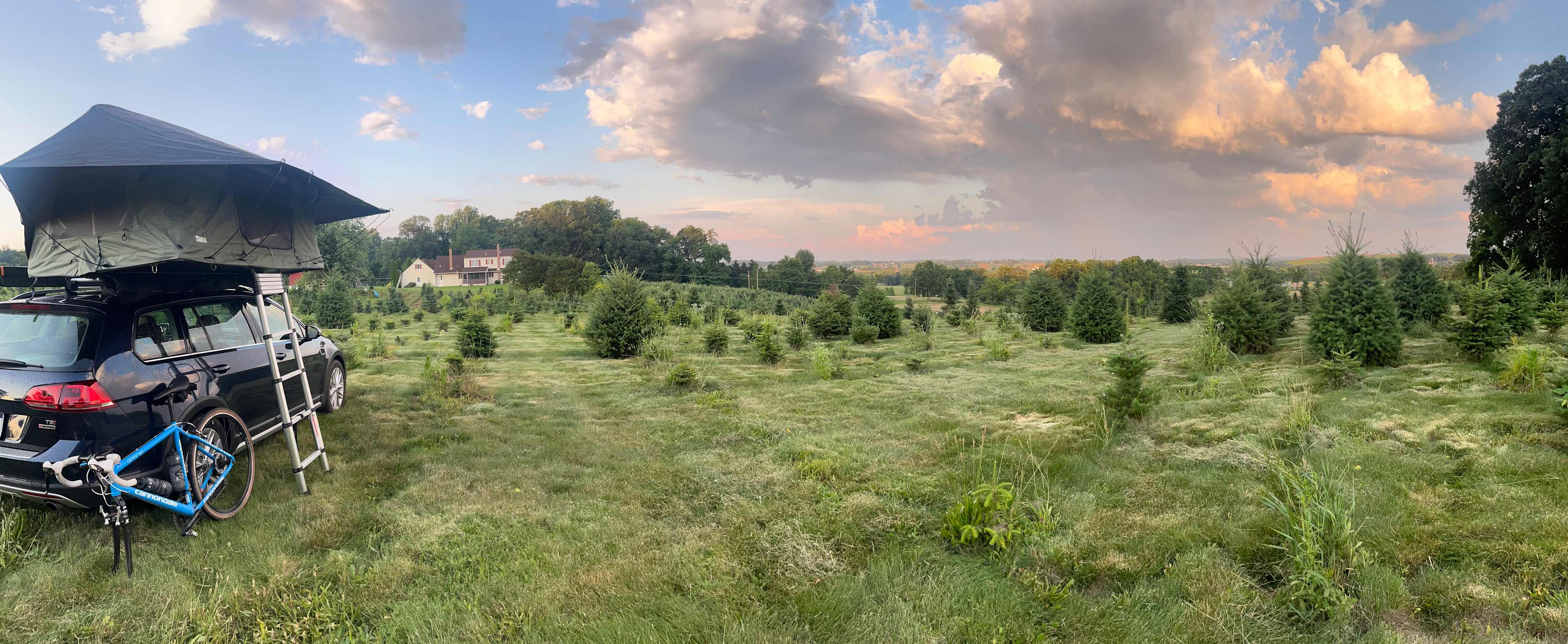 Christmas Tree Farm with Views