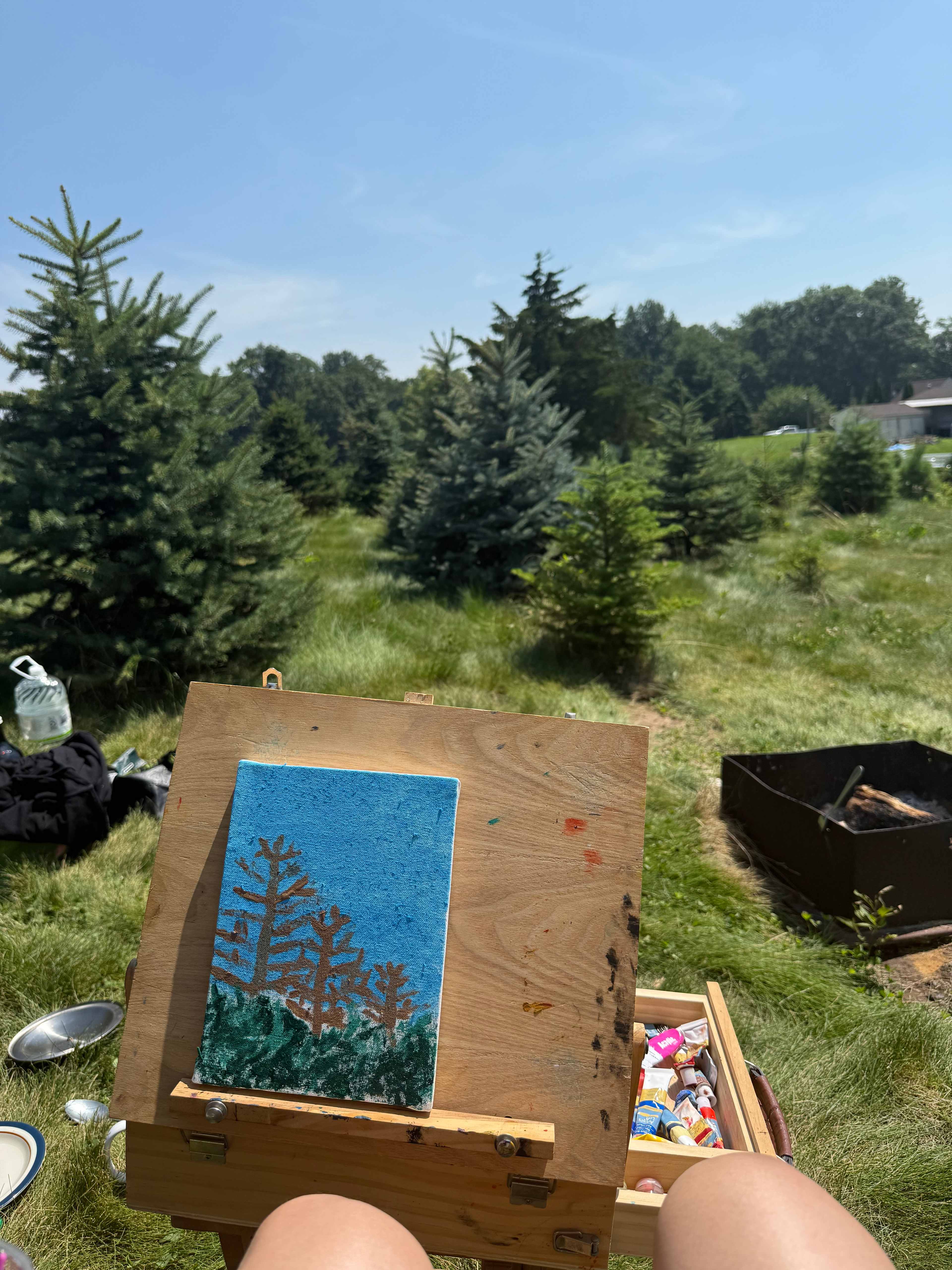 Christmas Tree Farm with Views
