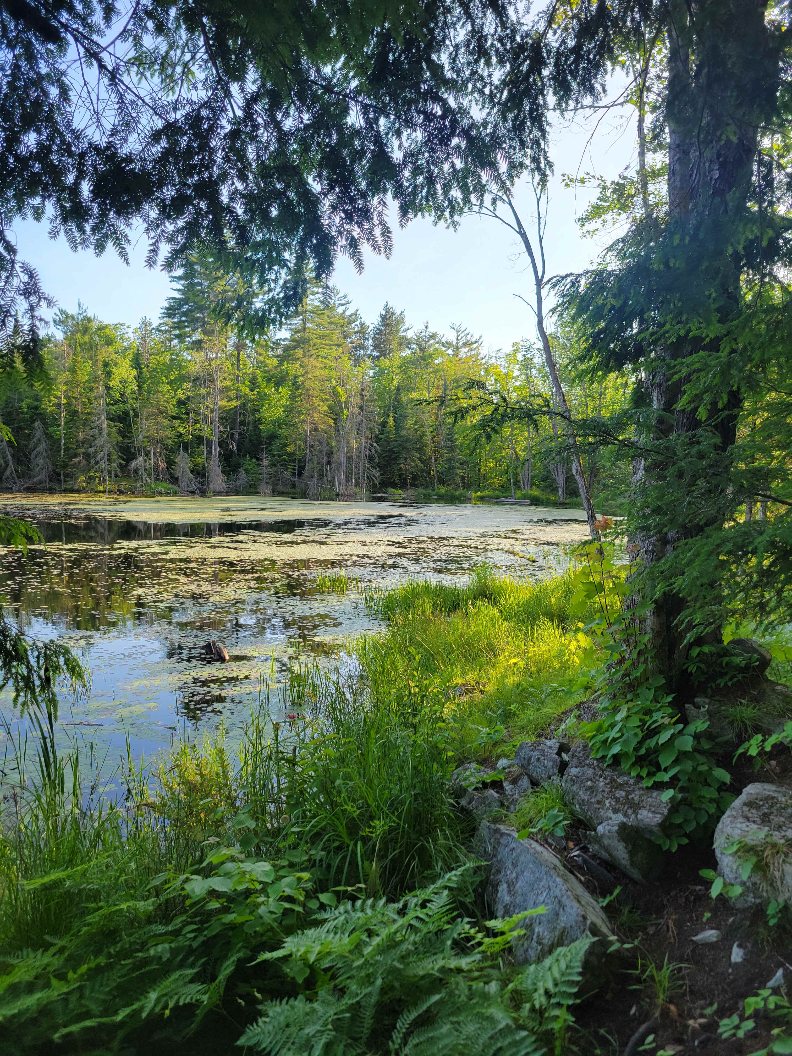 Hemlock Point Campground