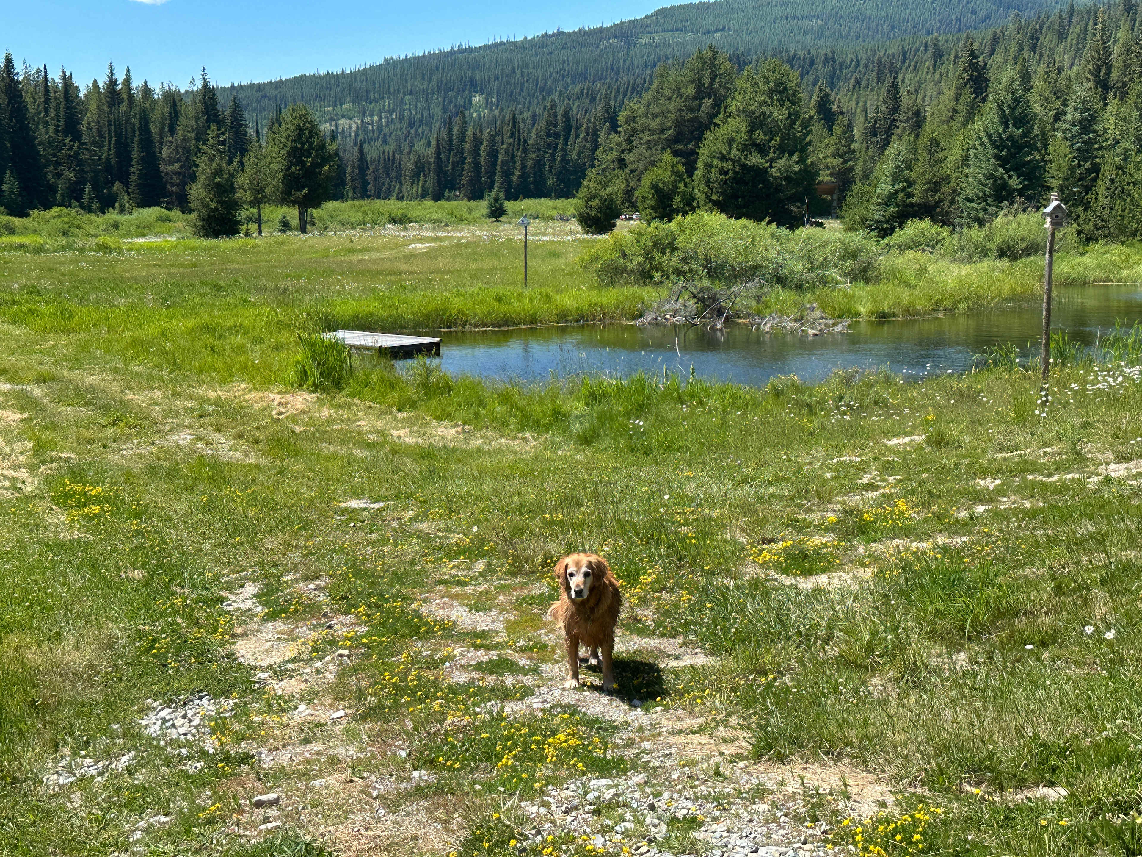 Legacy Creeks Ranch