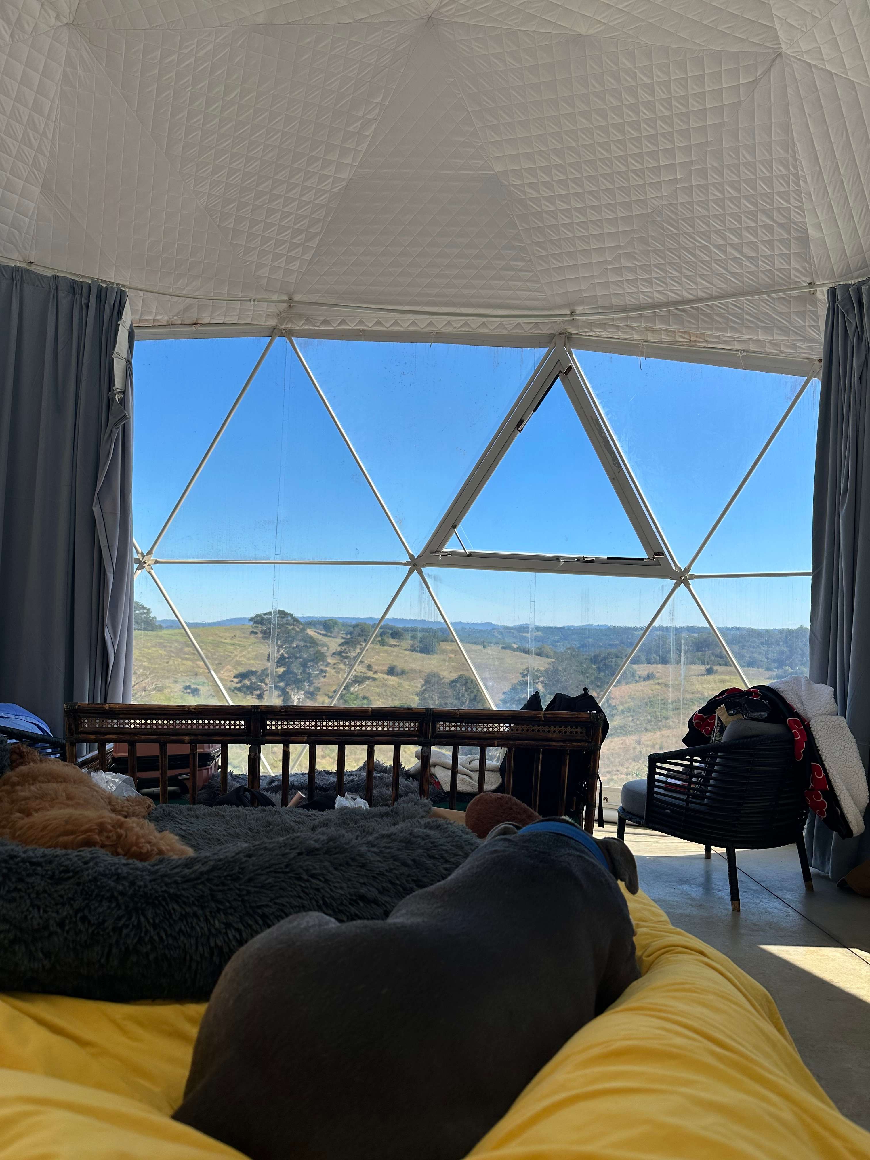 The Meadow -Byron Hinterlands Domes