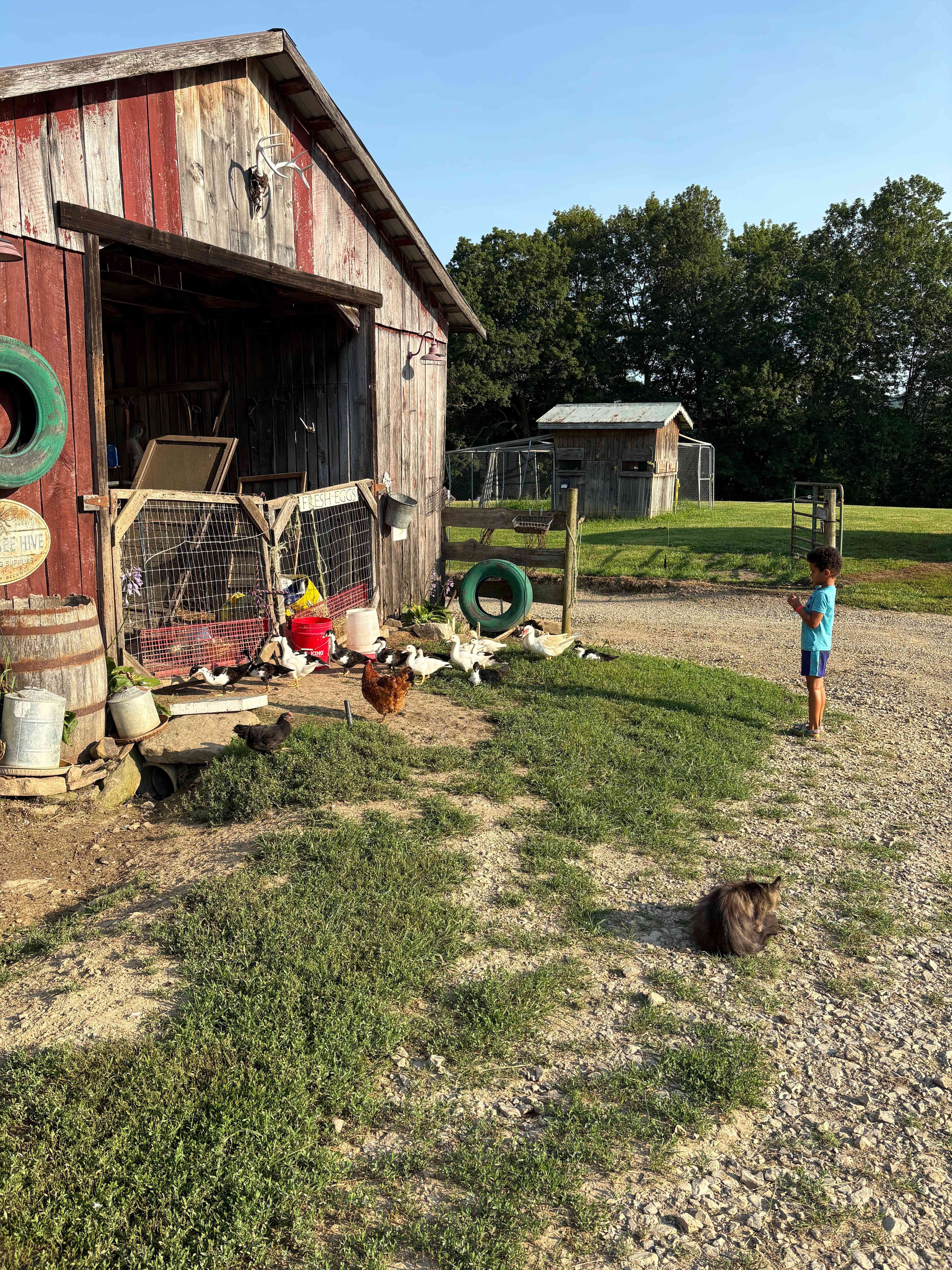 Addis Acres
