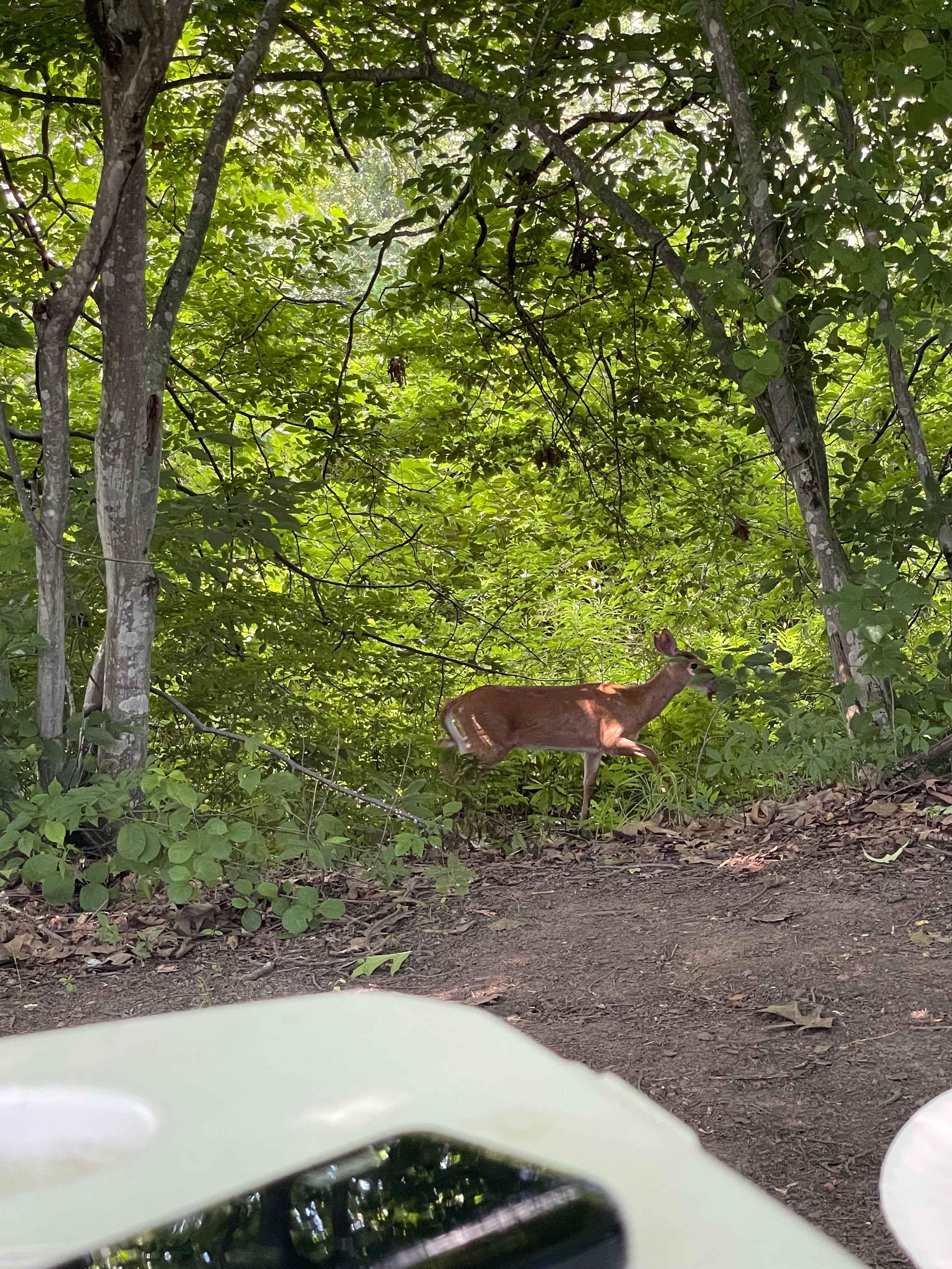 Red Gate Farm/ DuGrenier Glass Art