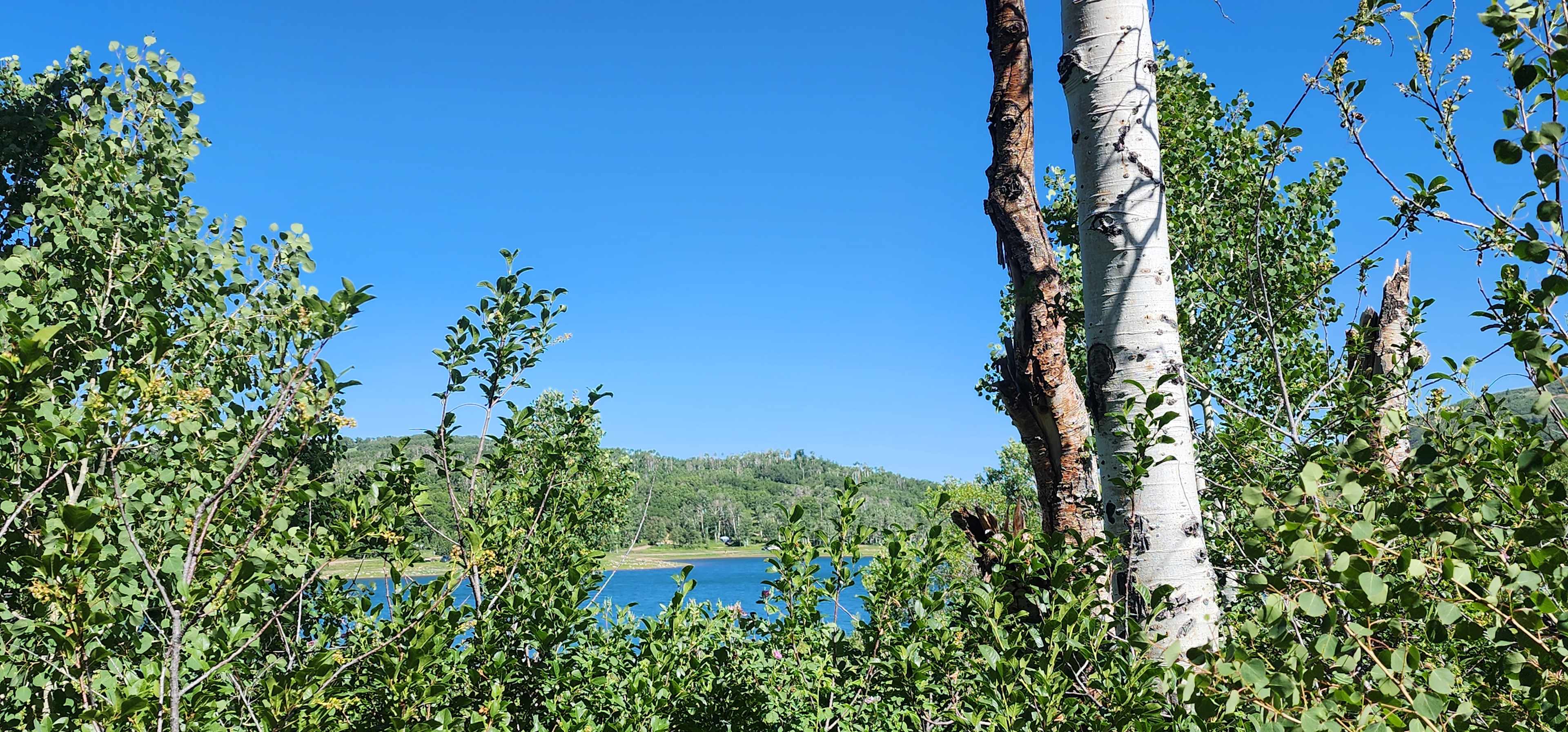 Kolob Campground