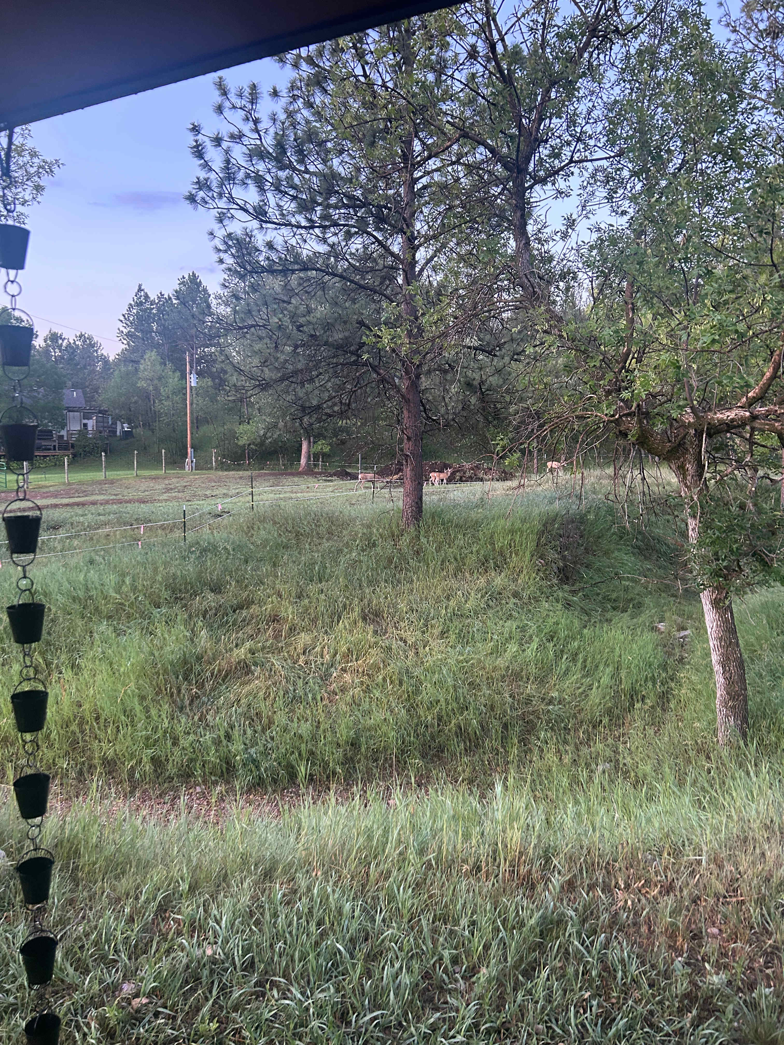 Bear Den Cabins & Camp