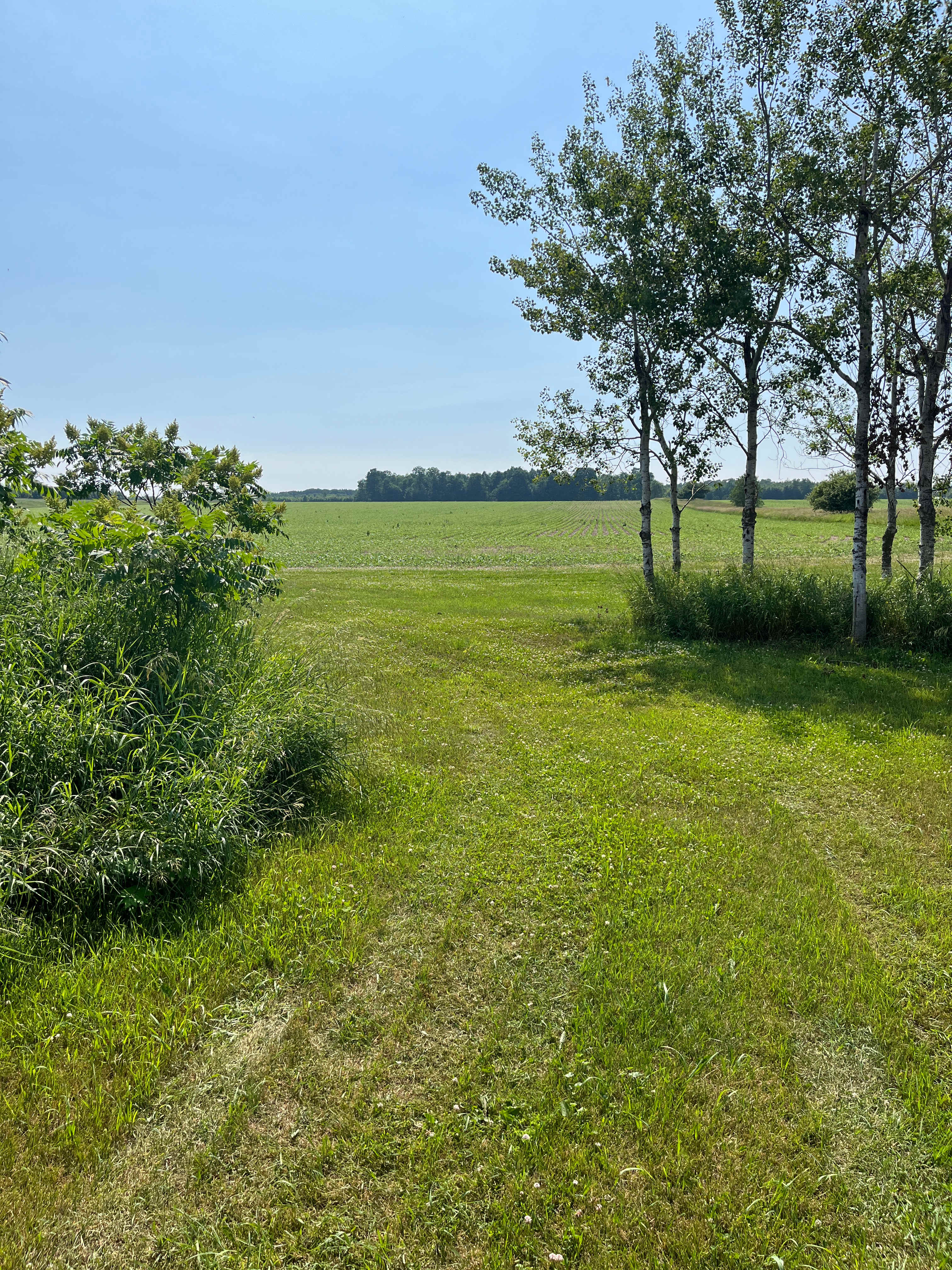Michael O.’s Land