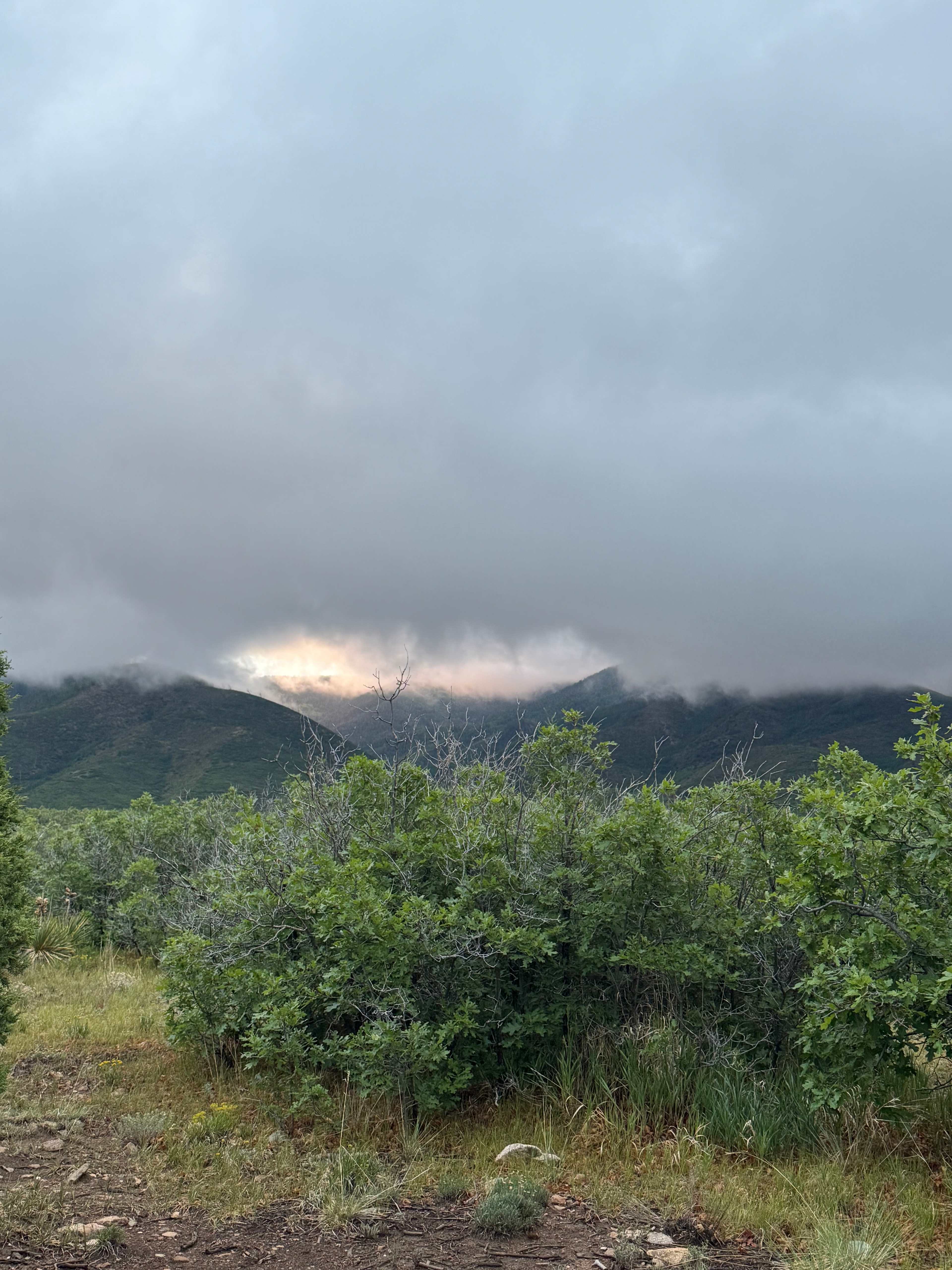 High Desert Camping
