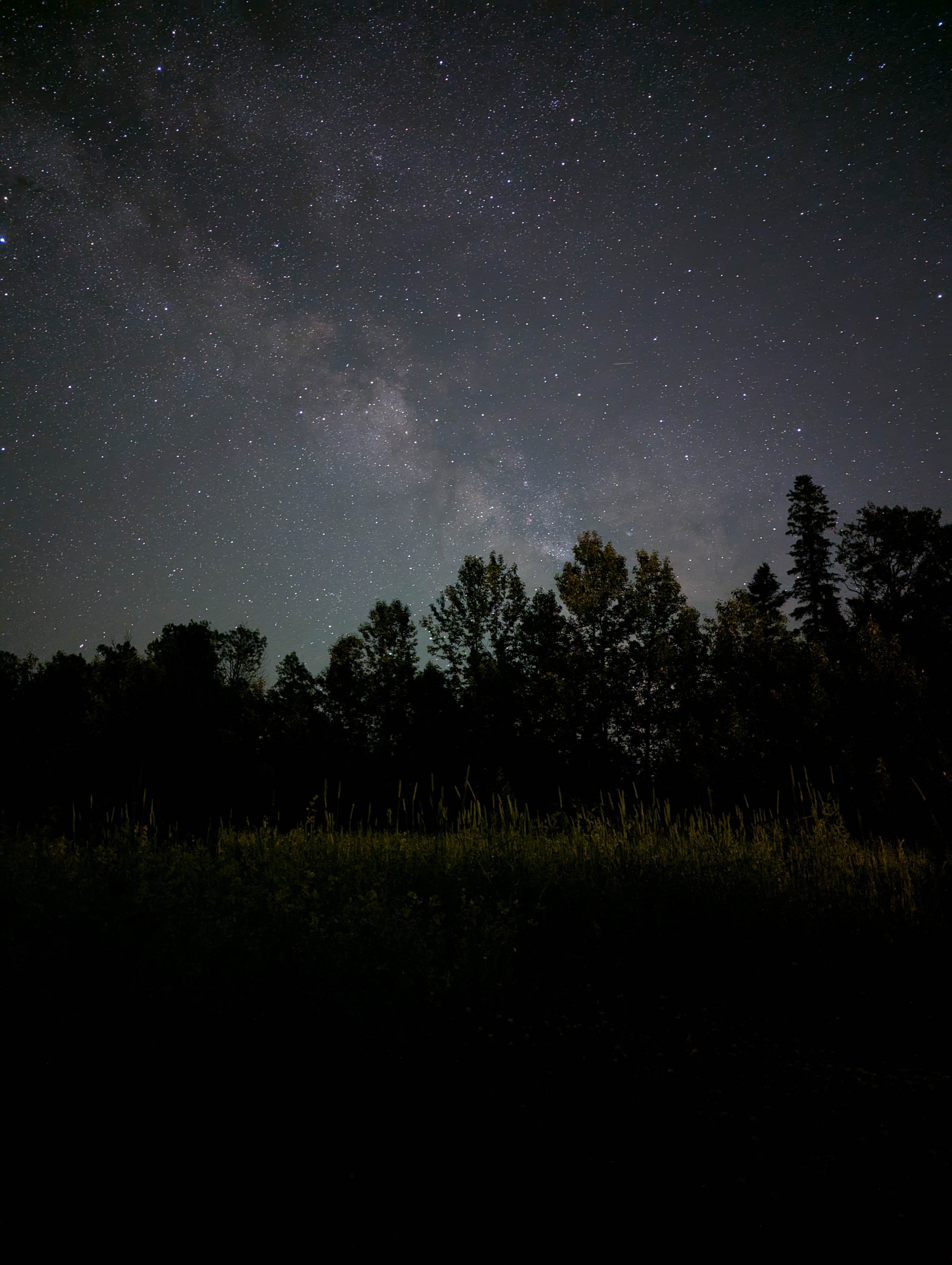 Skedaddle Ridge Homestead