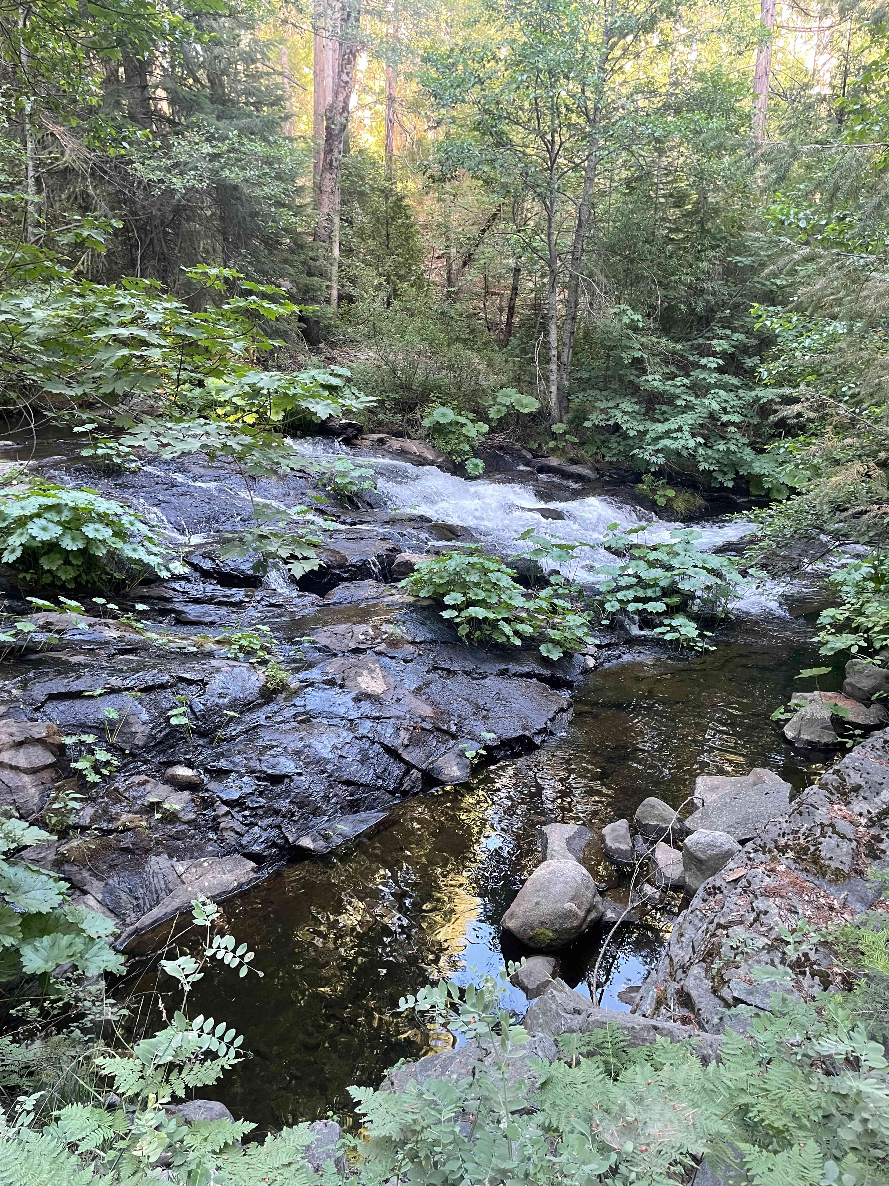 More of that pretty river 