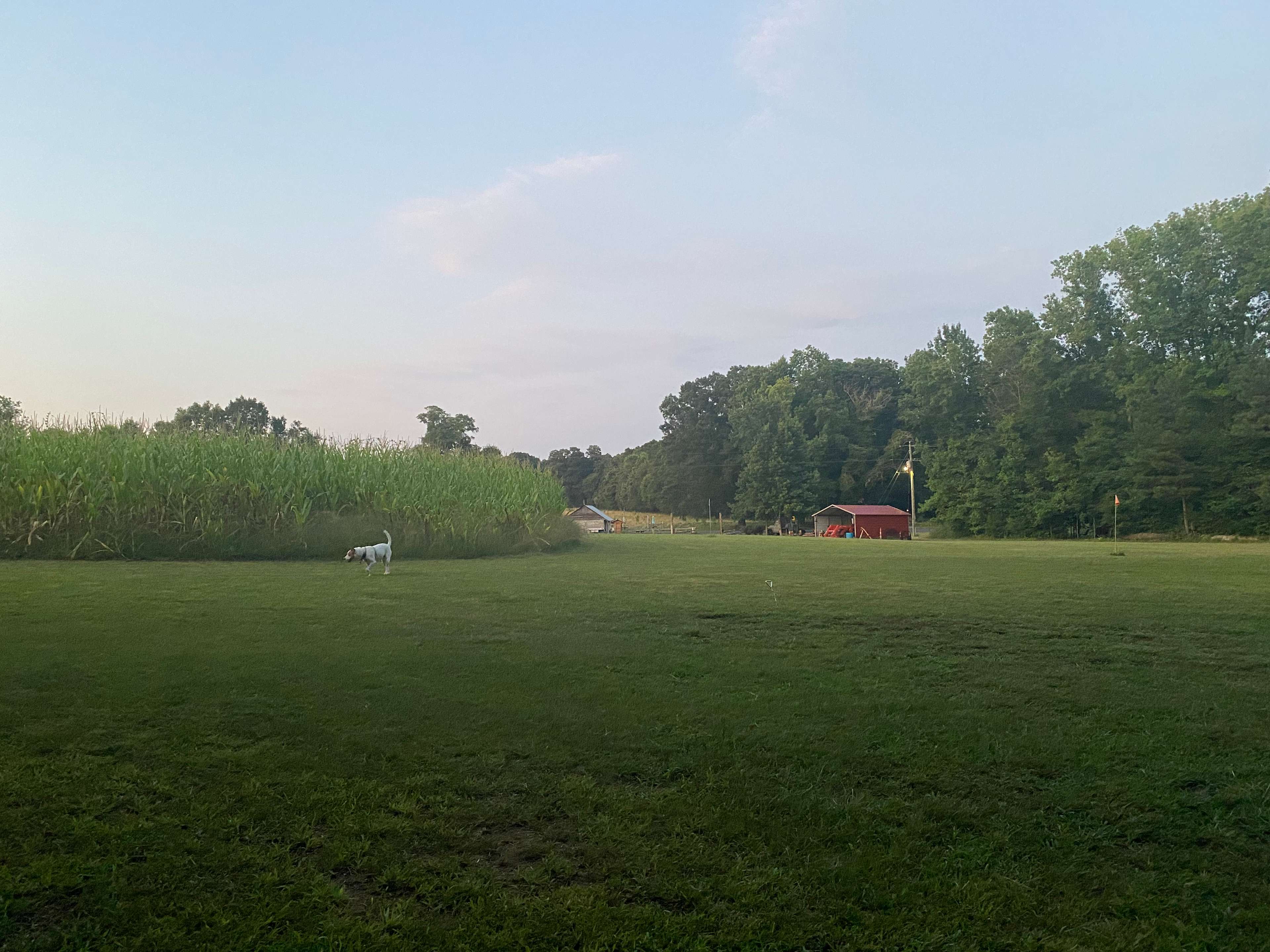 Lucky Farms Under the Stars