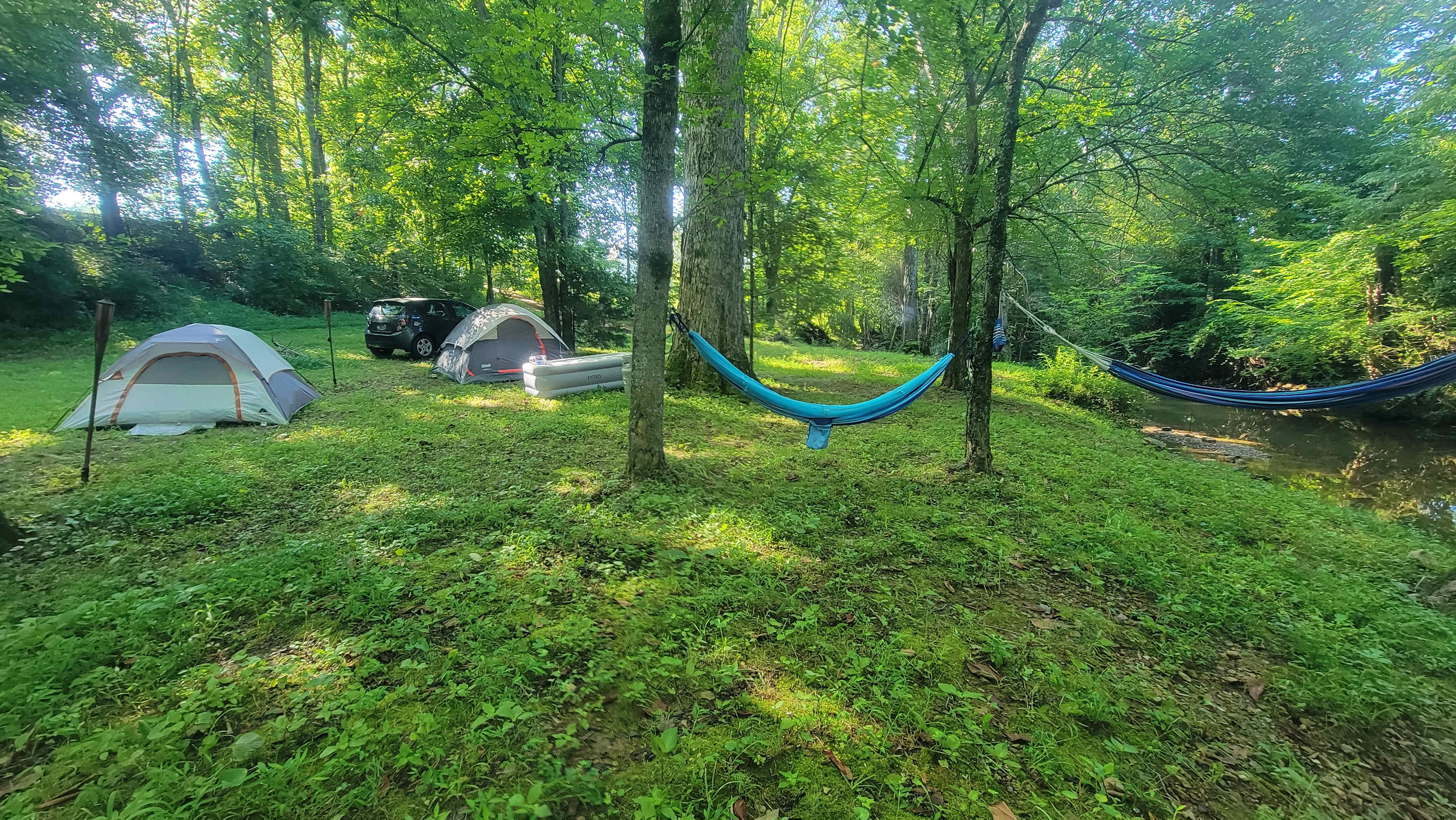 Beautiful spot! 💚