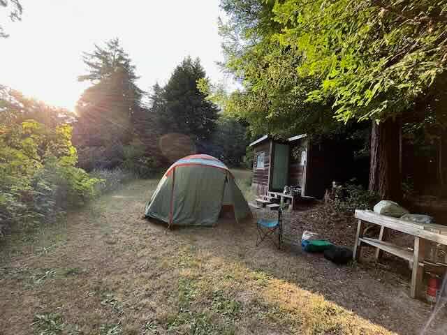 Meadow Farm & Forest
