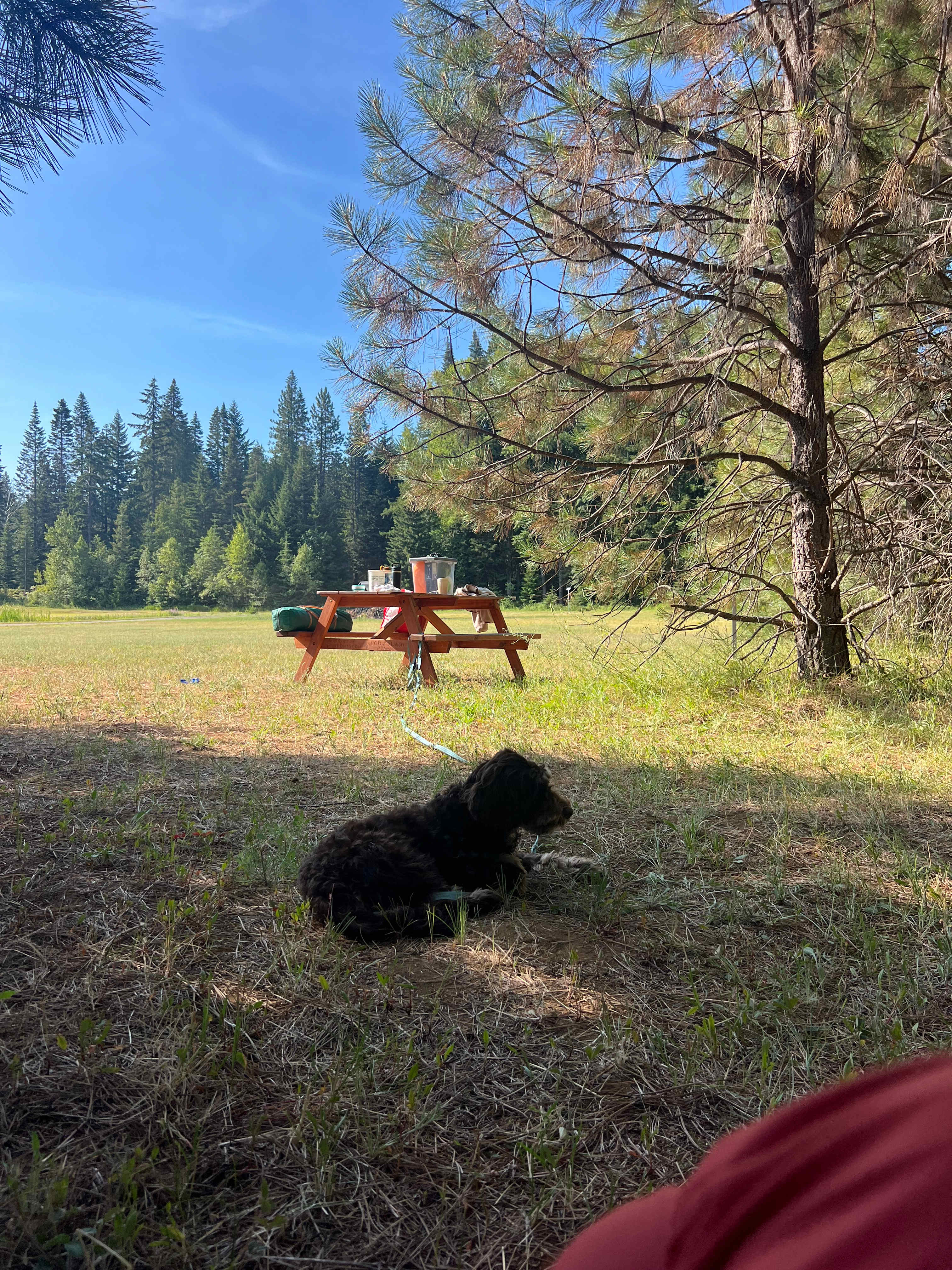 Lake Sena Campground at Circle 8 Ranch