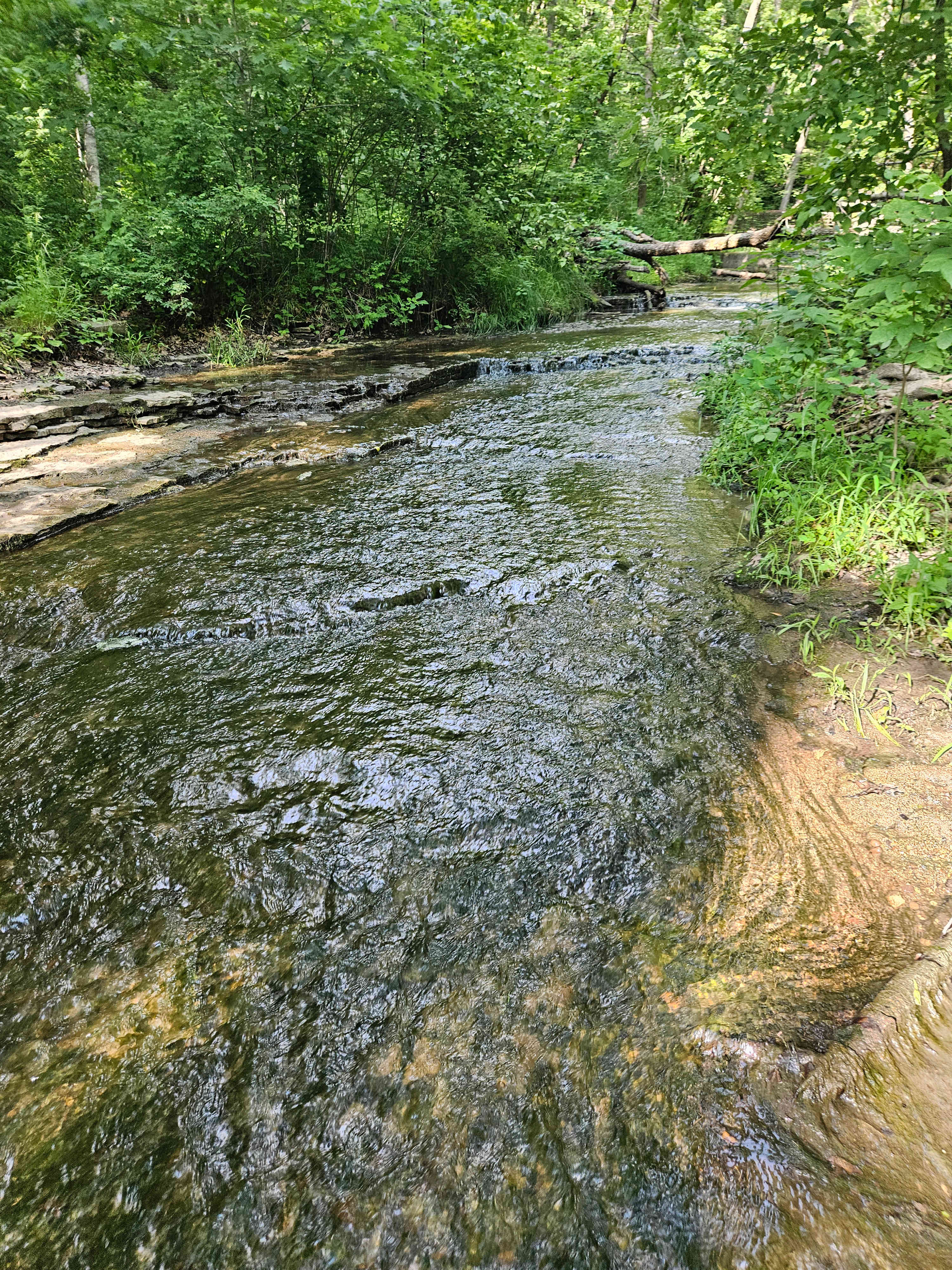 Prairie Creek Campground