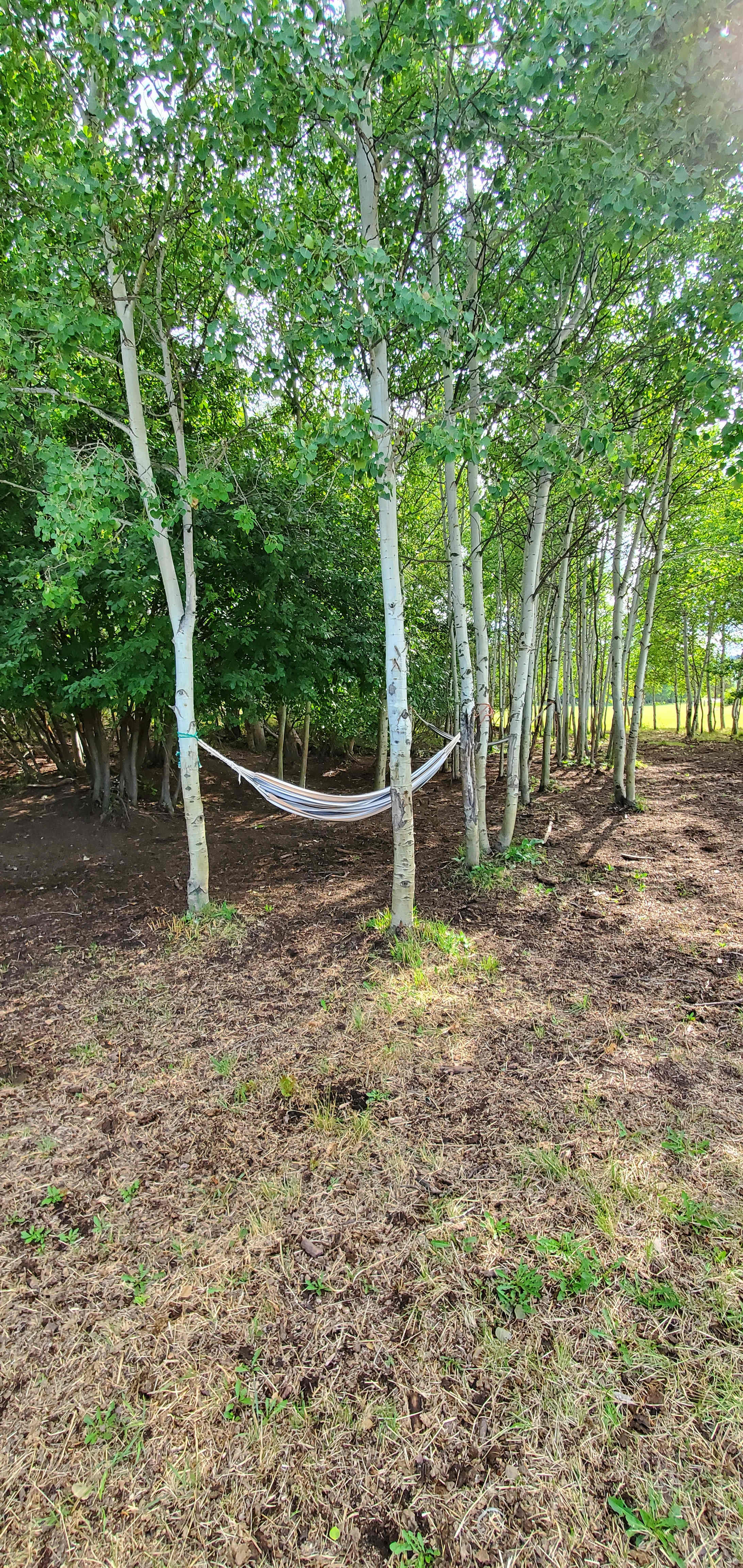 Secluded Ranch Camp