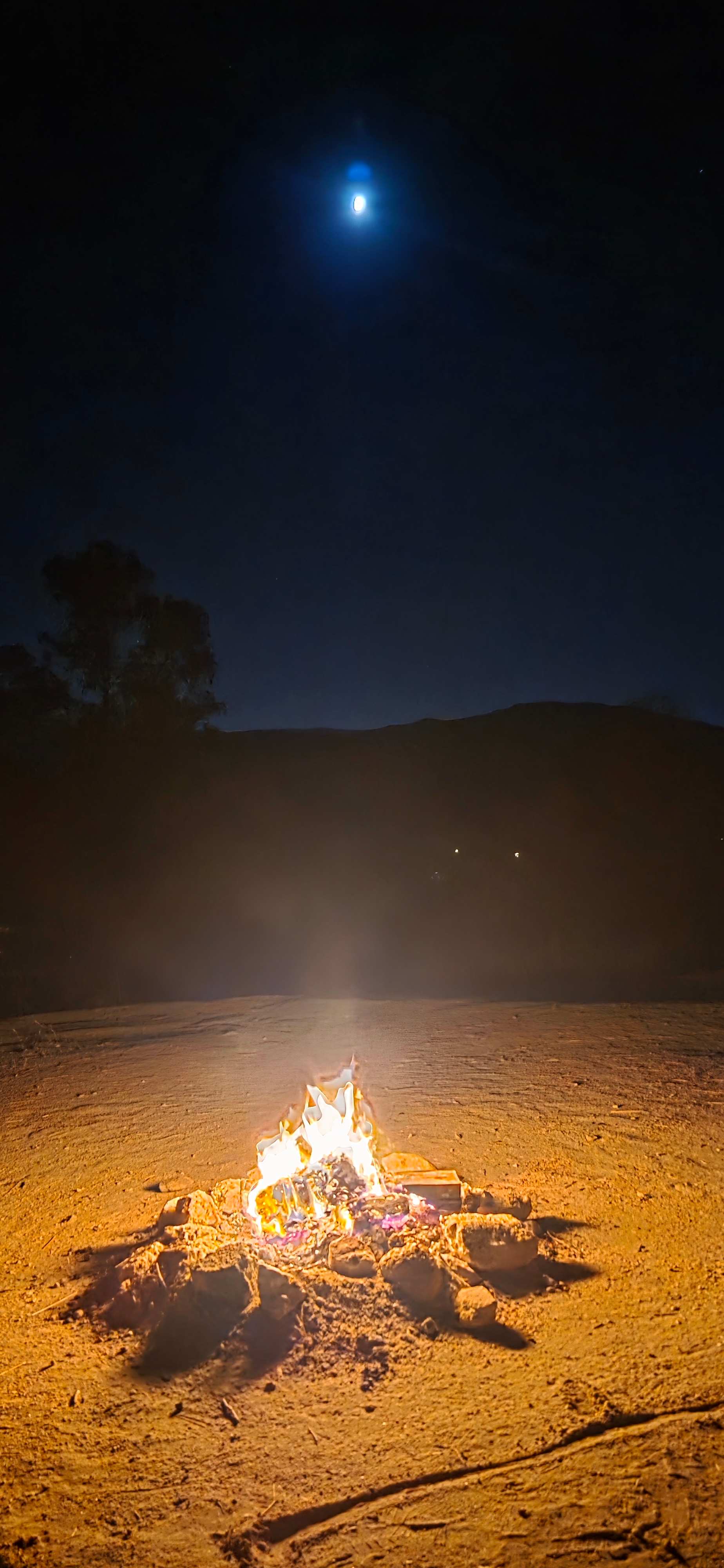 Saddle Up Camp