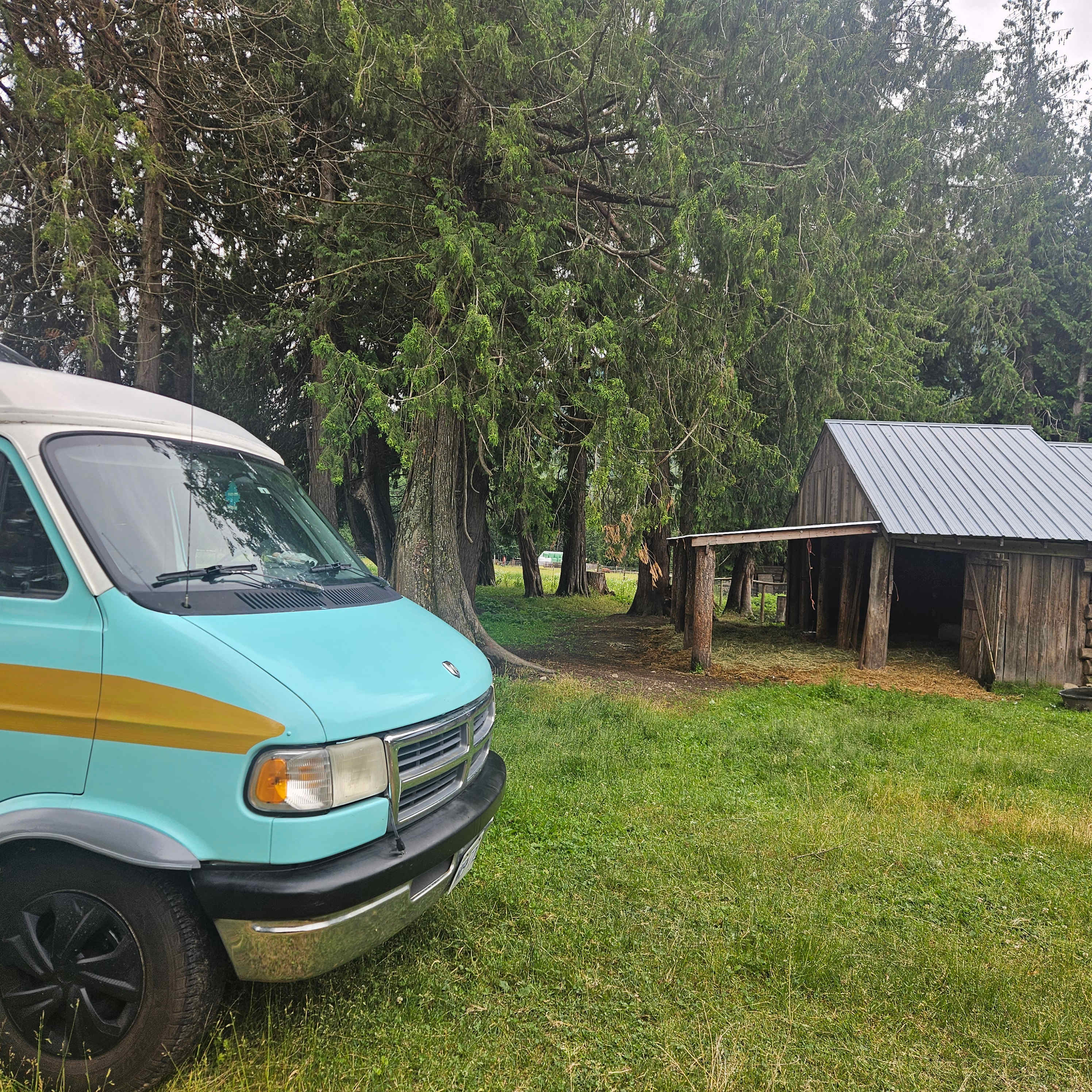 Olich Creek Farm