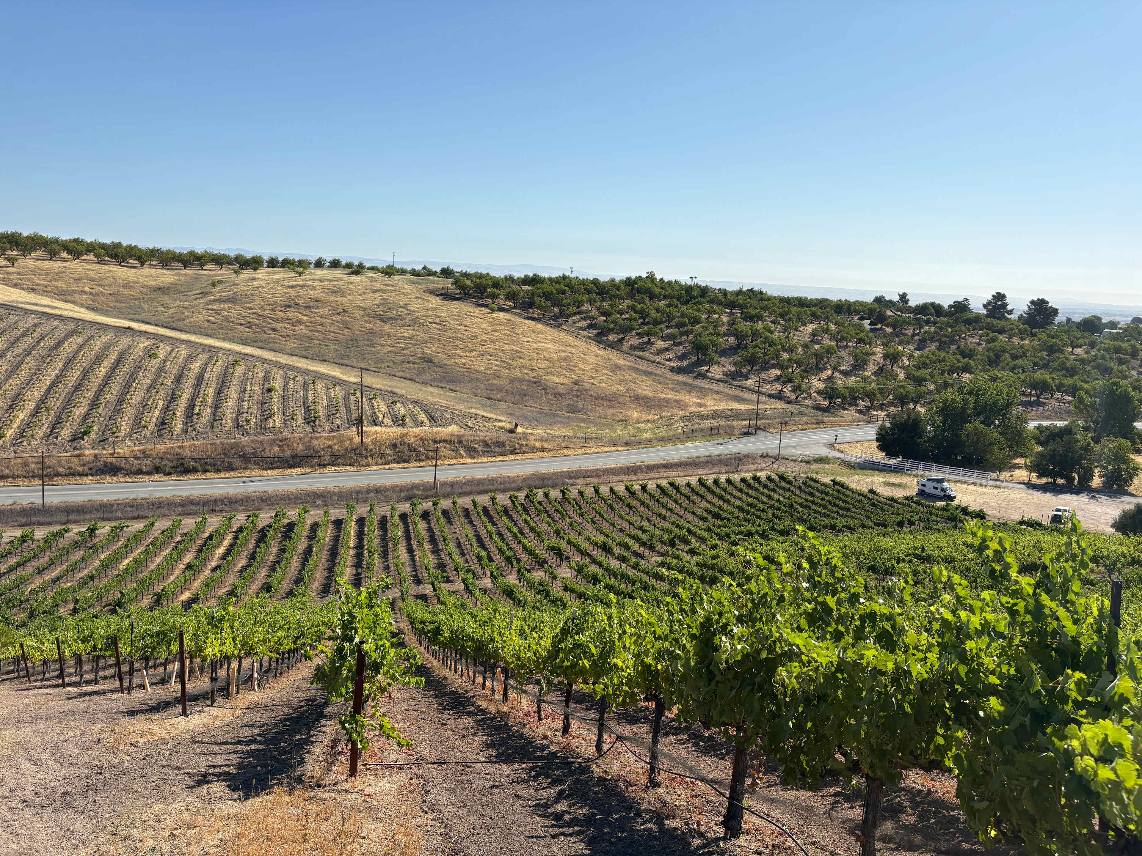 Historic Truck Farm Vineyard
