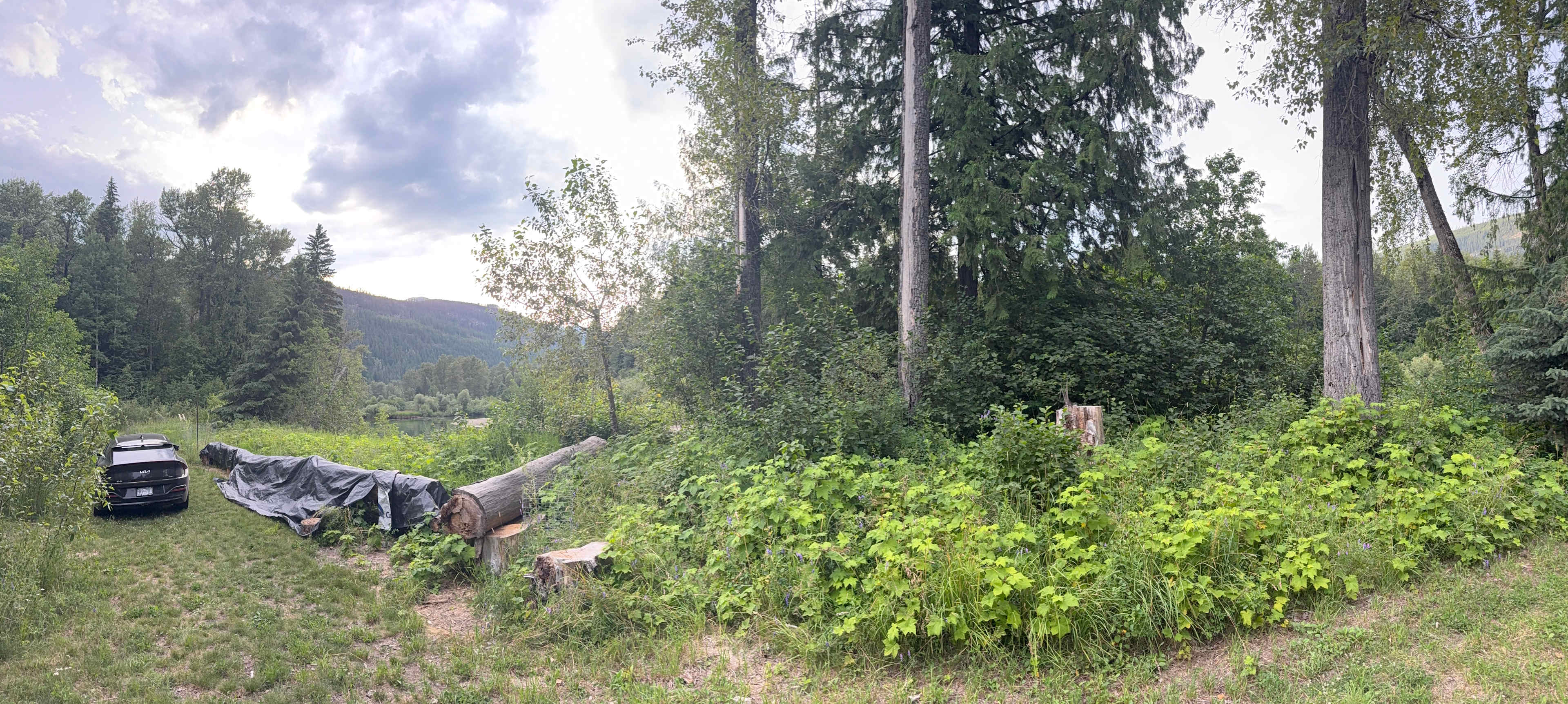 Laid Back Manor Farm