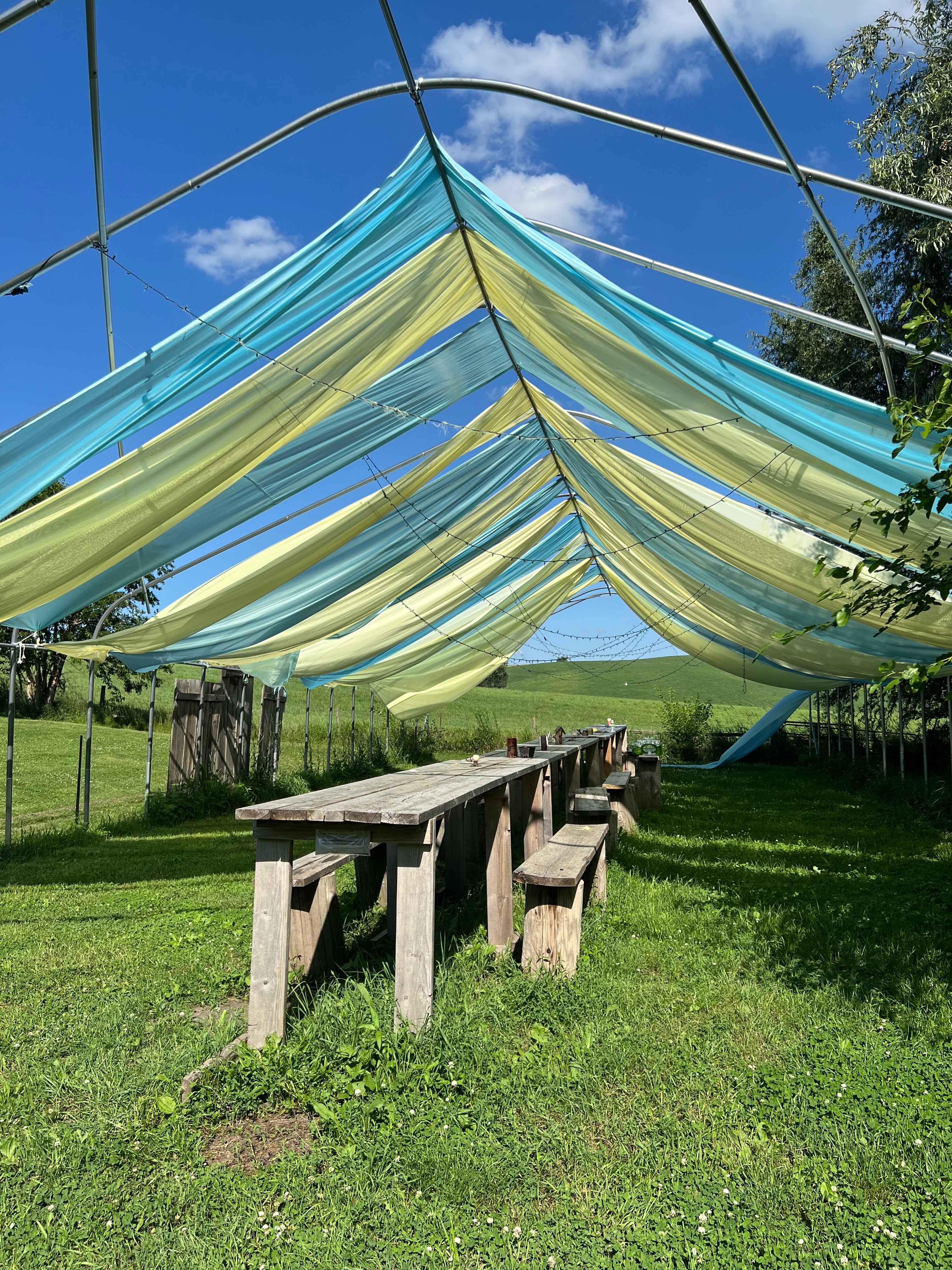Windy Goat Acres