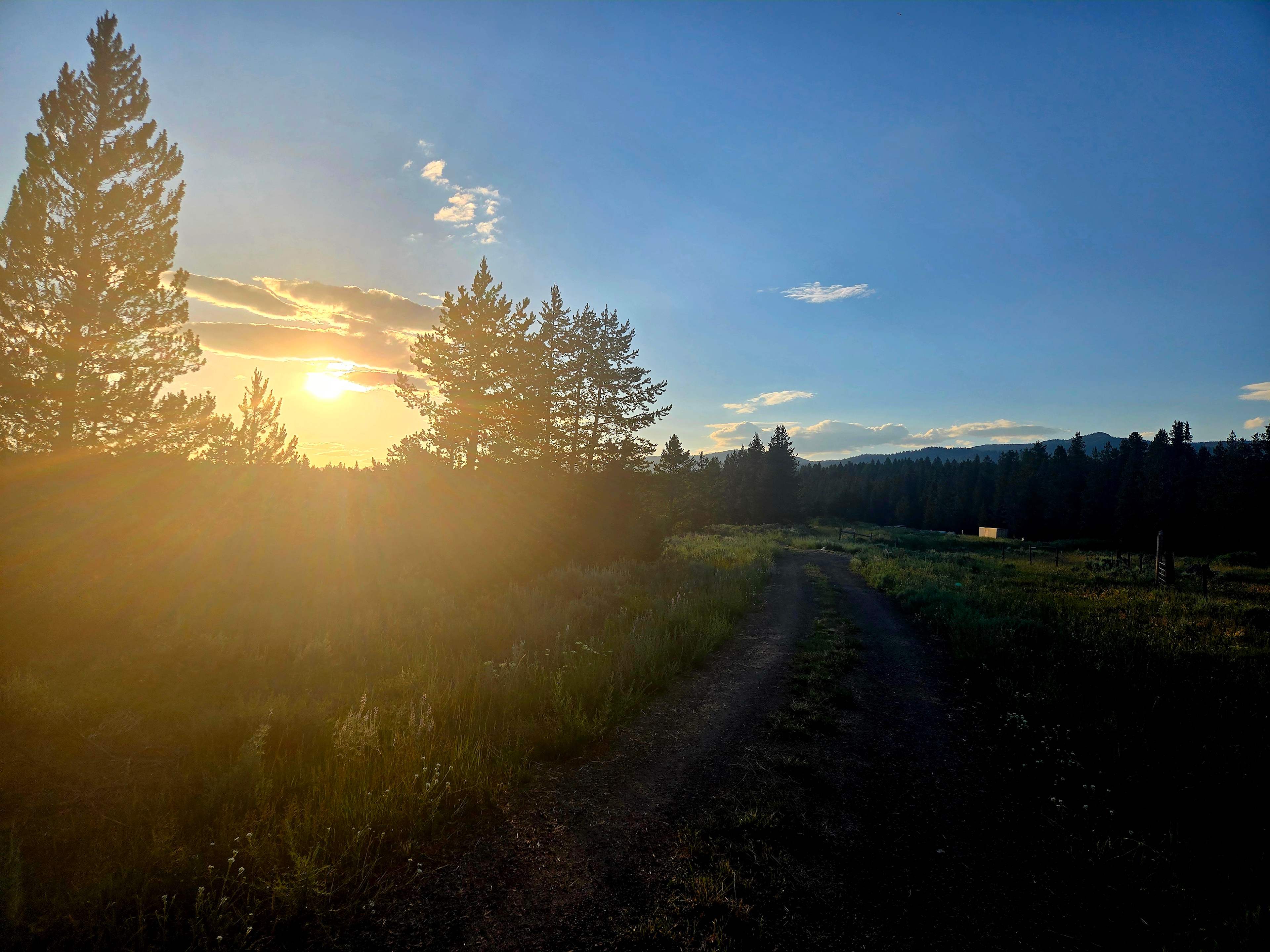 Beautiful view from the road