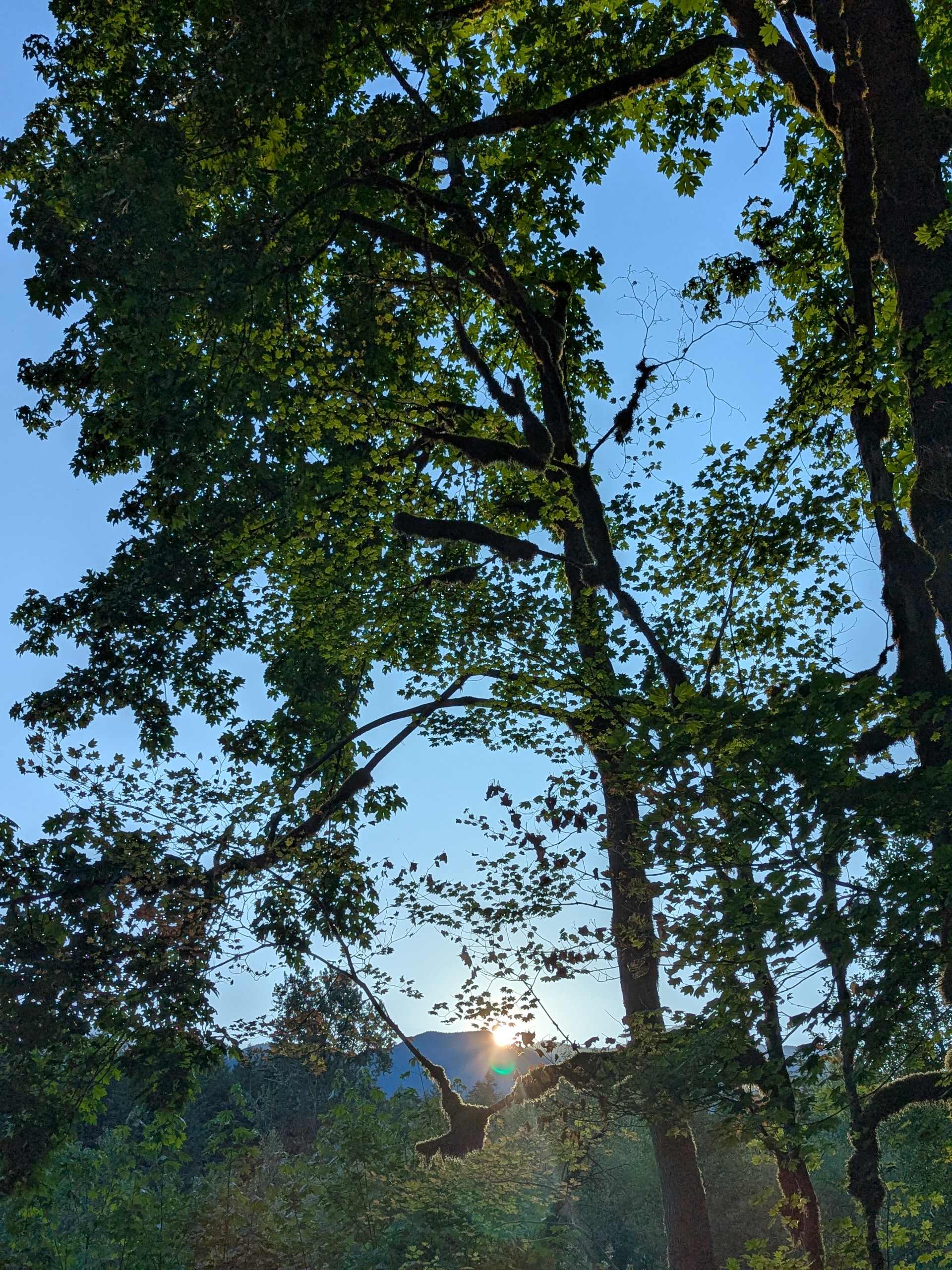 Sunset from site. 