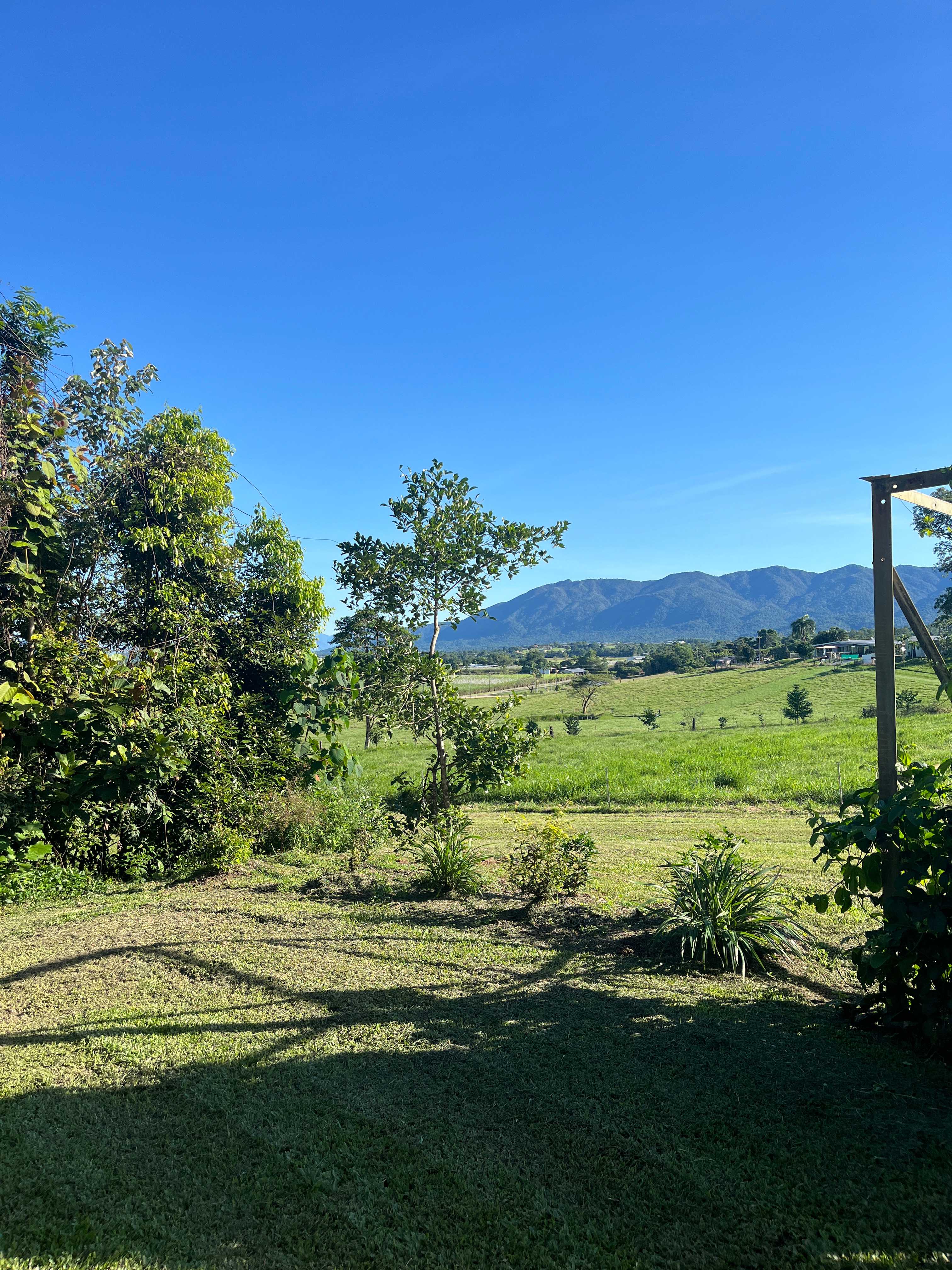 Tully Mountain Views