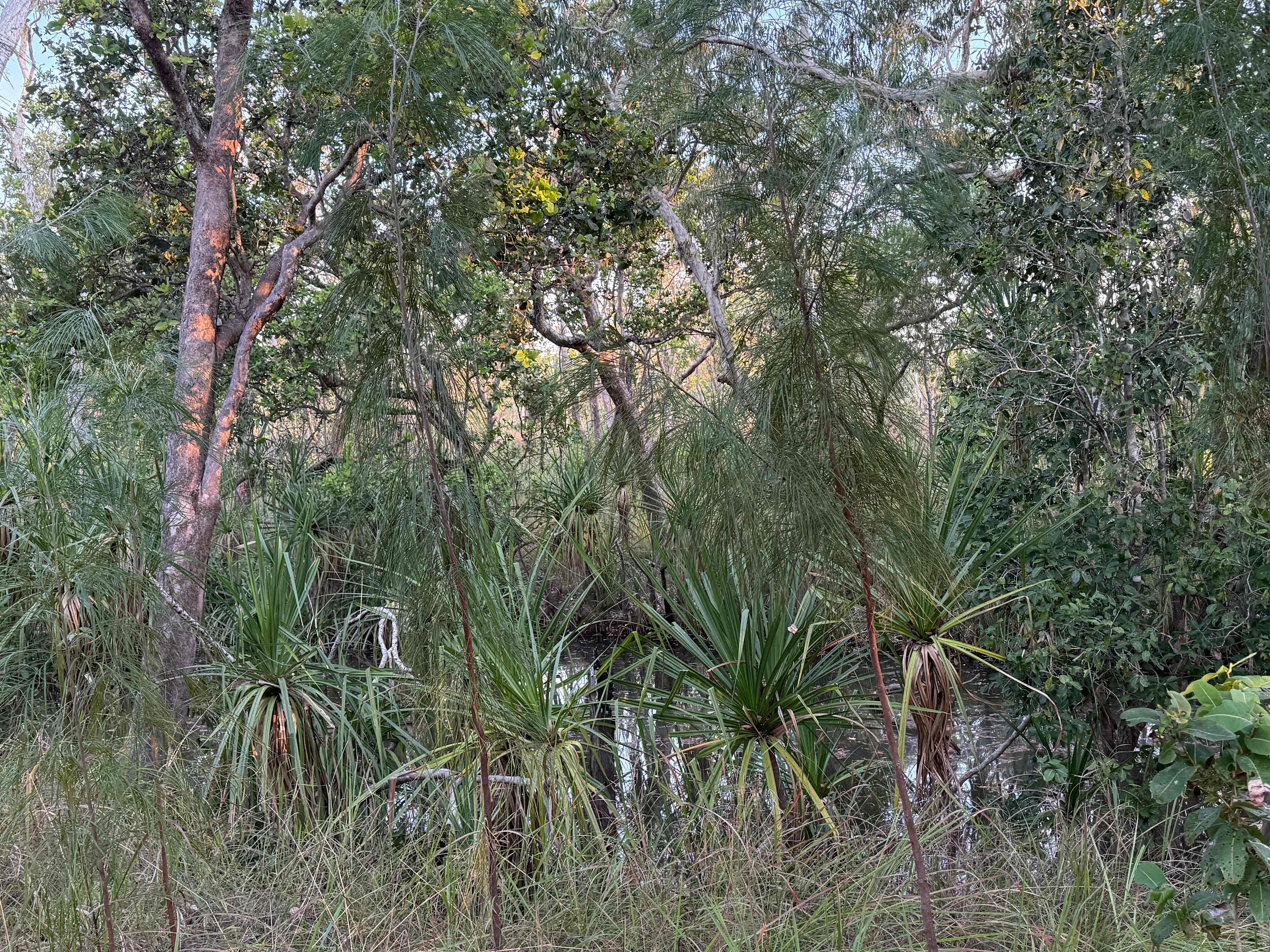 Charlotte River
