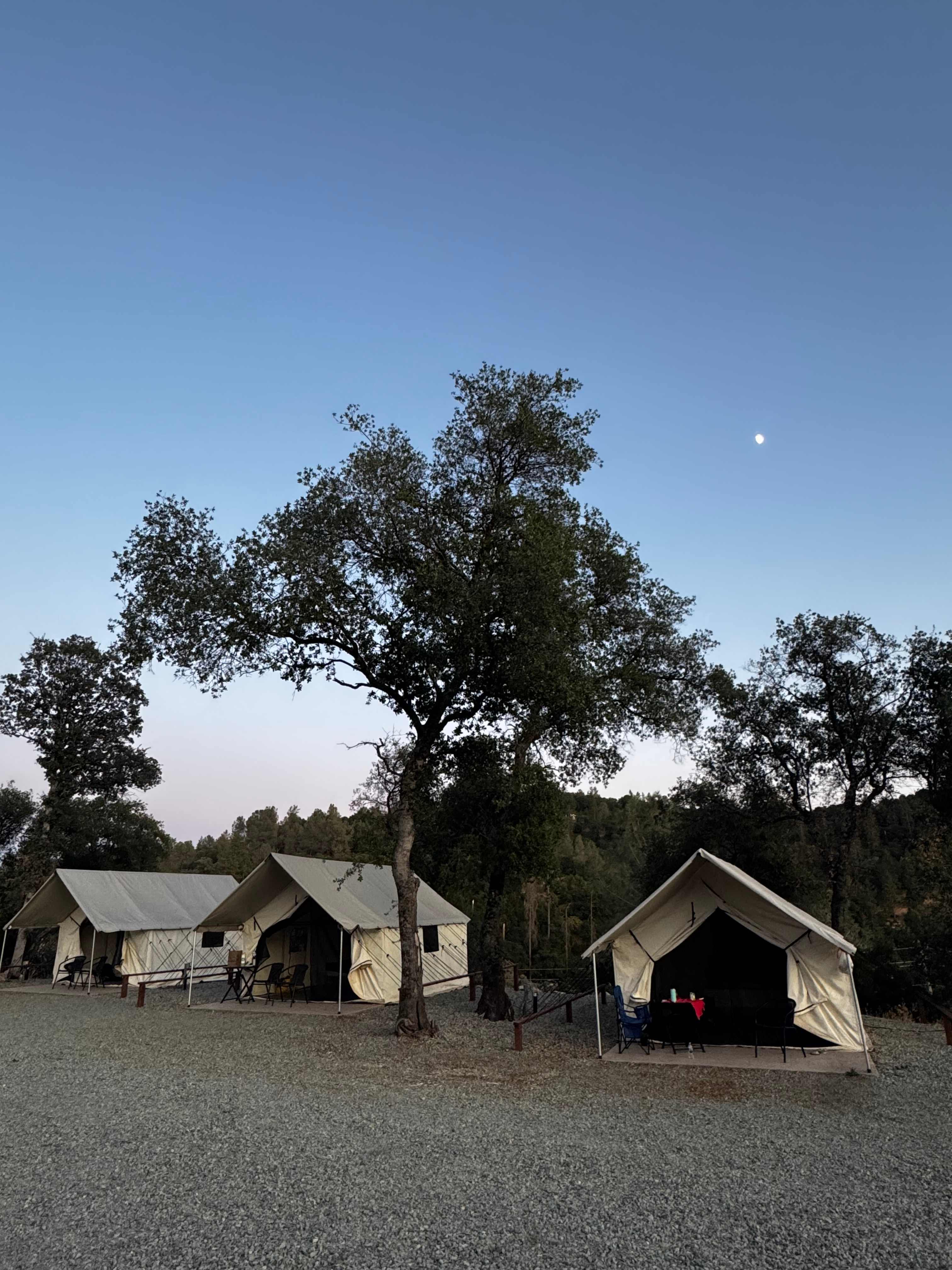 Moonshadow Flat Glamping Tents