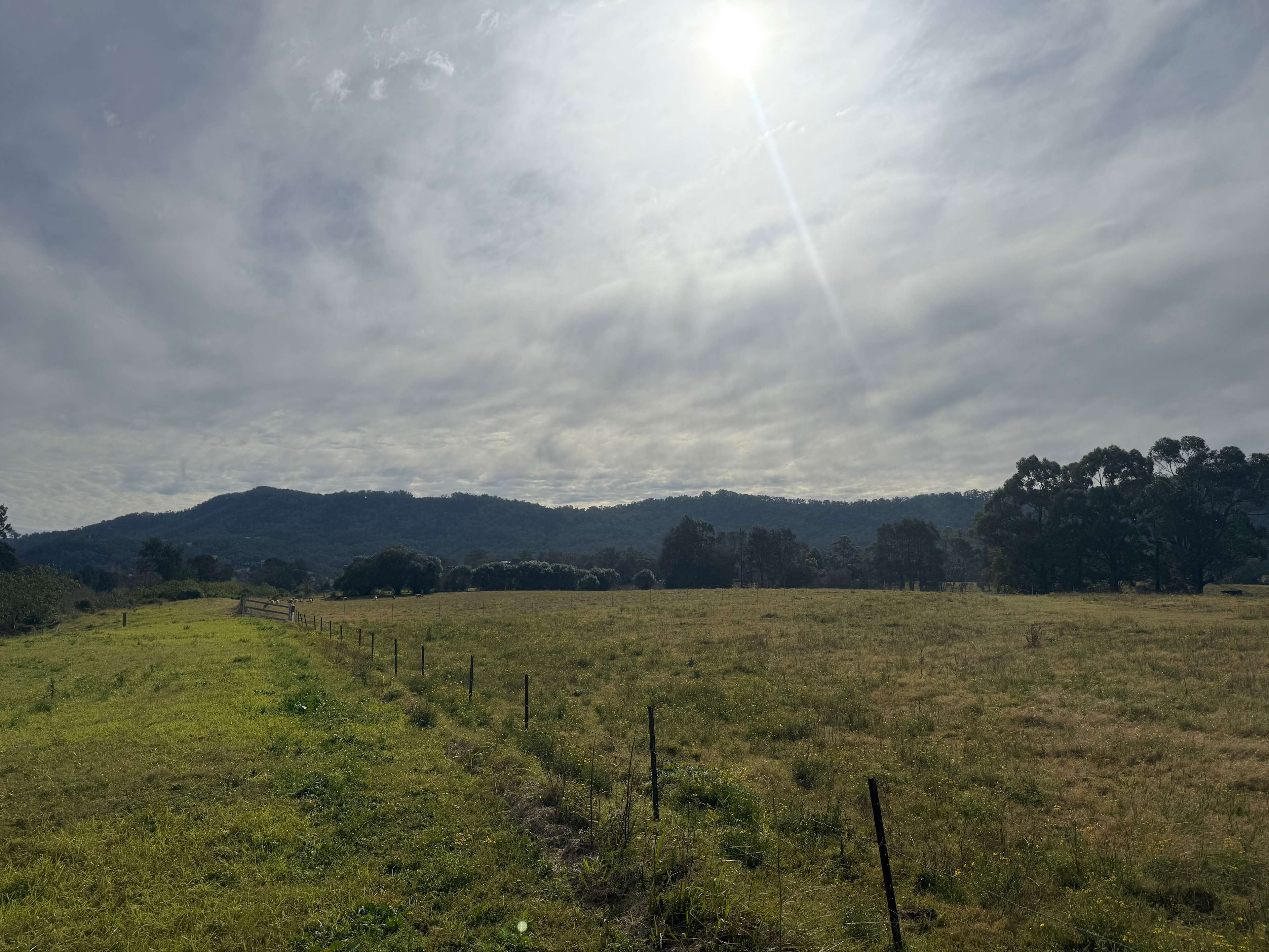 Rosebrook River Camp
