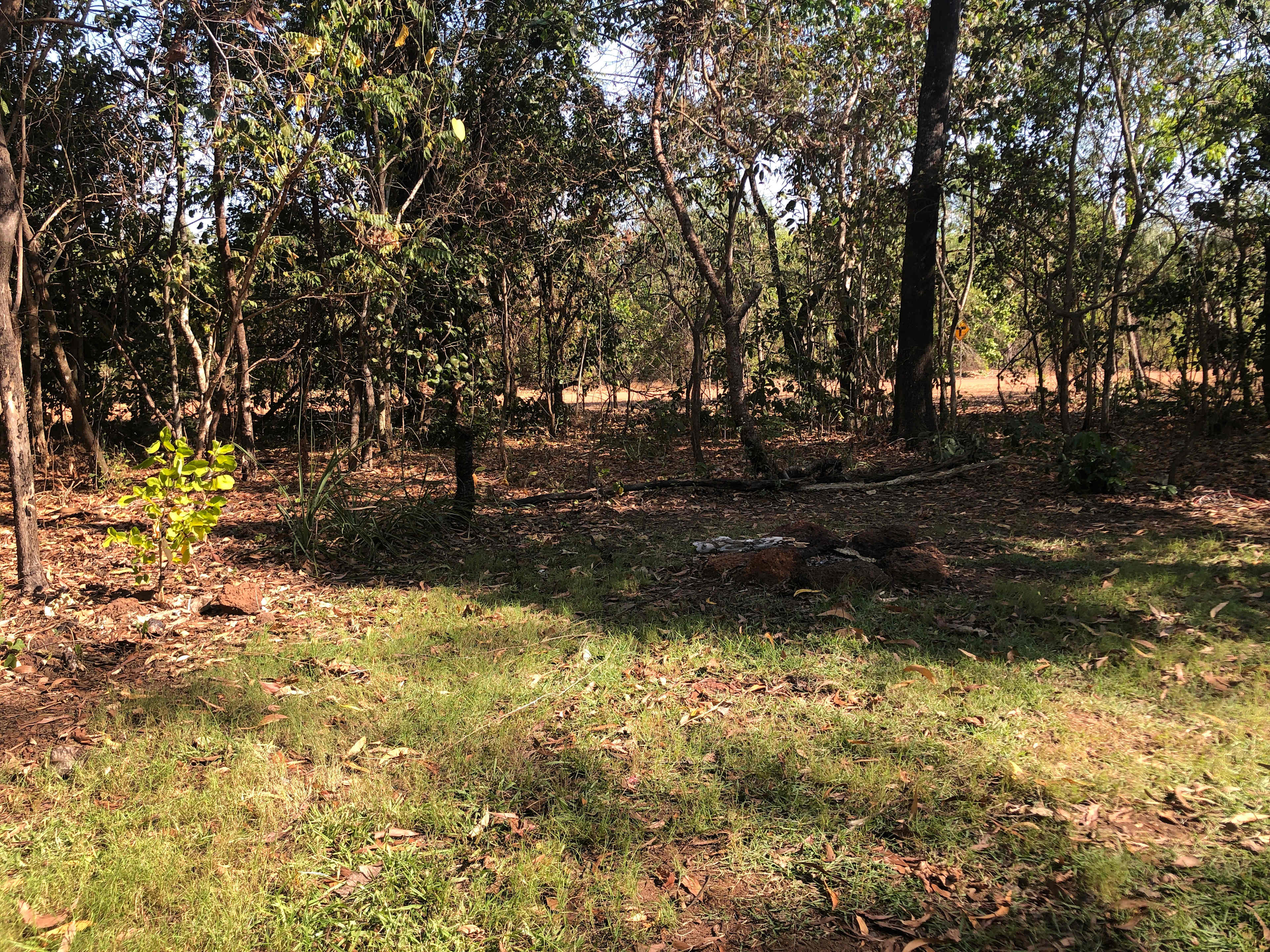 Grassed campsite