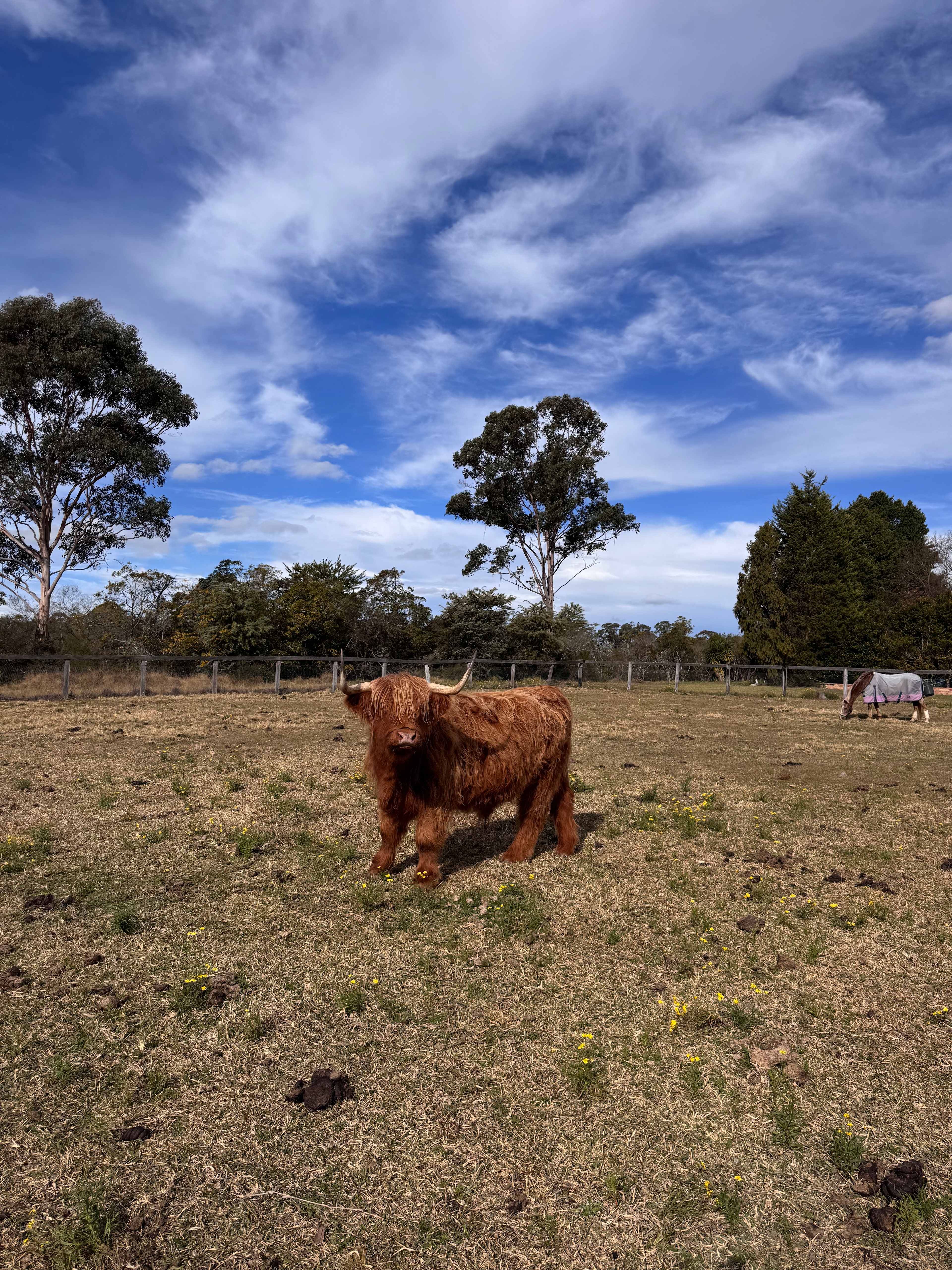 Wedderburn Hideaway