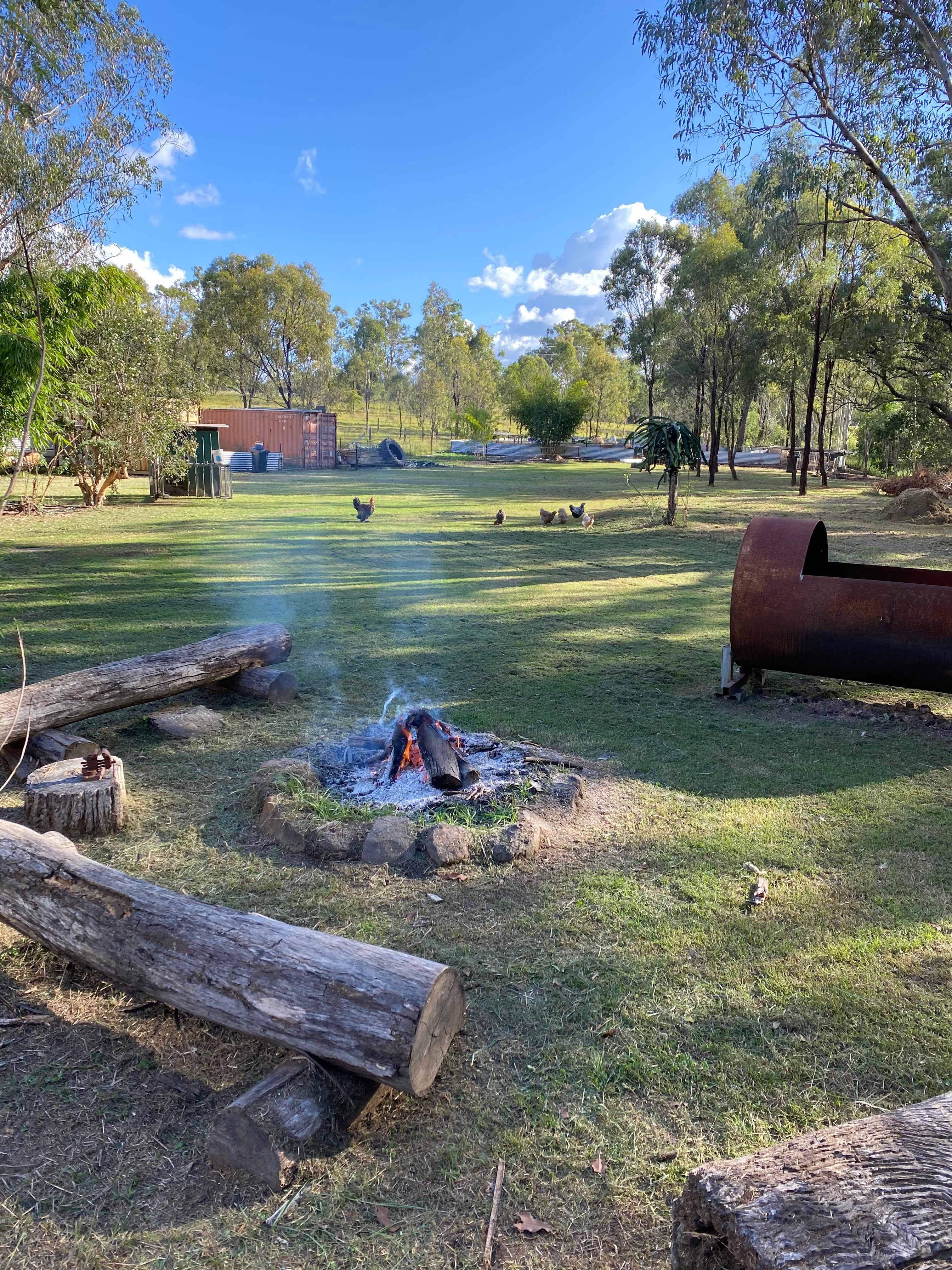 Savvy Creek Farms