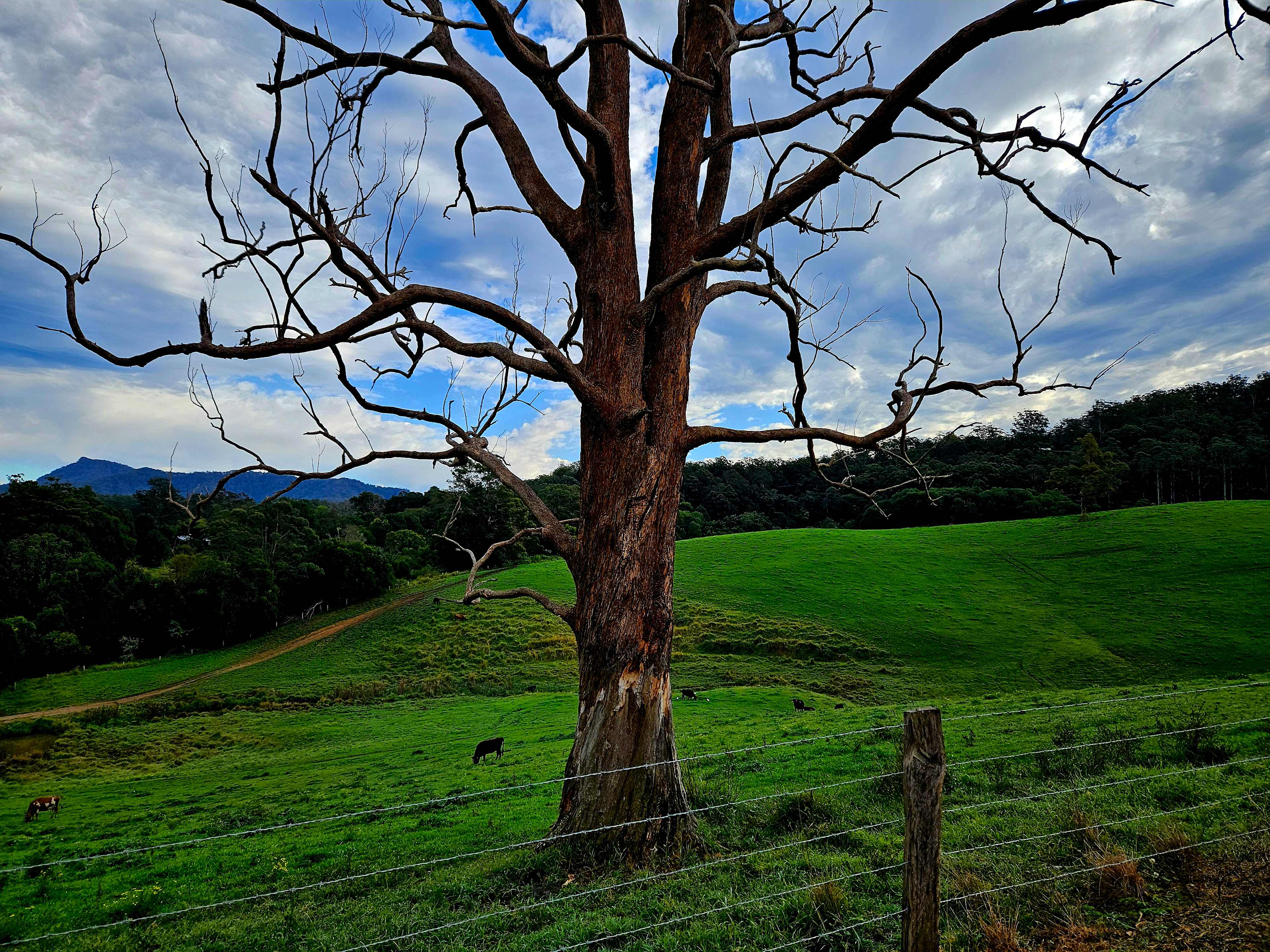 Valley View Escape