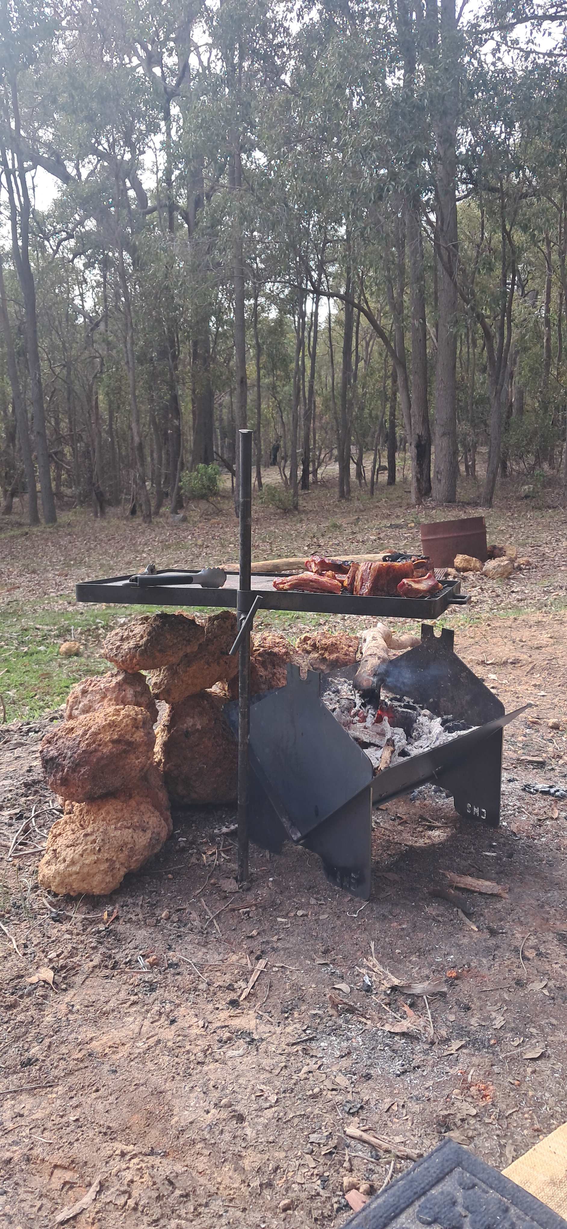 100-Acre Woods