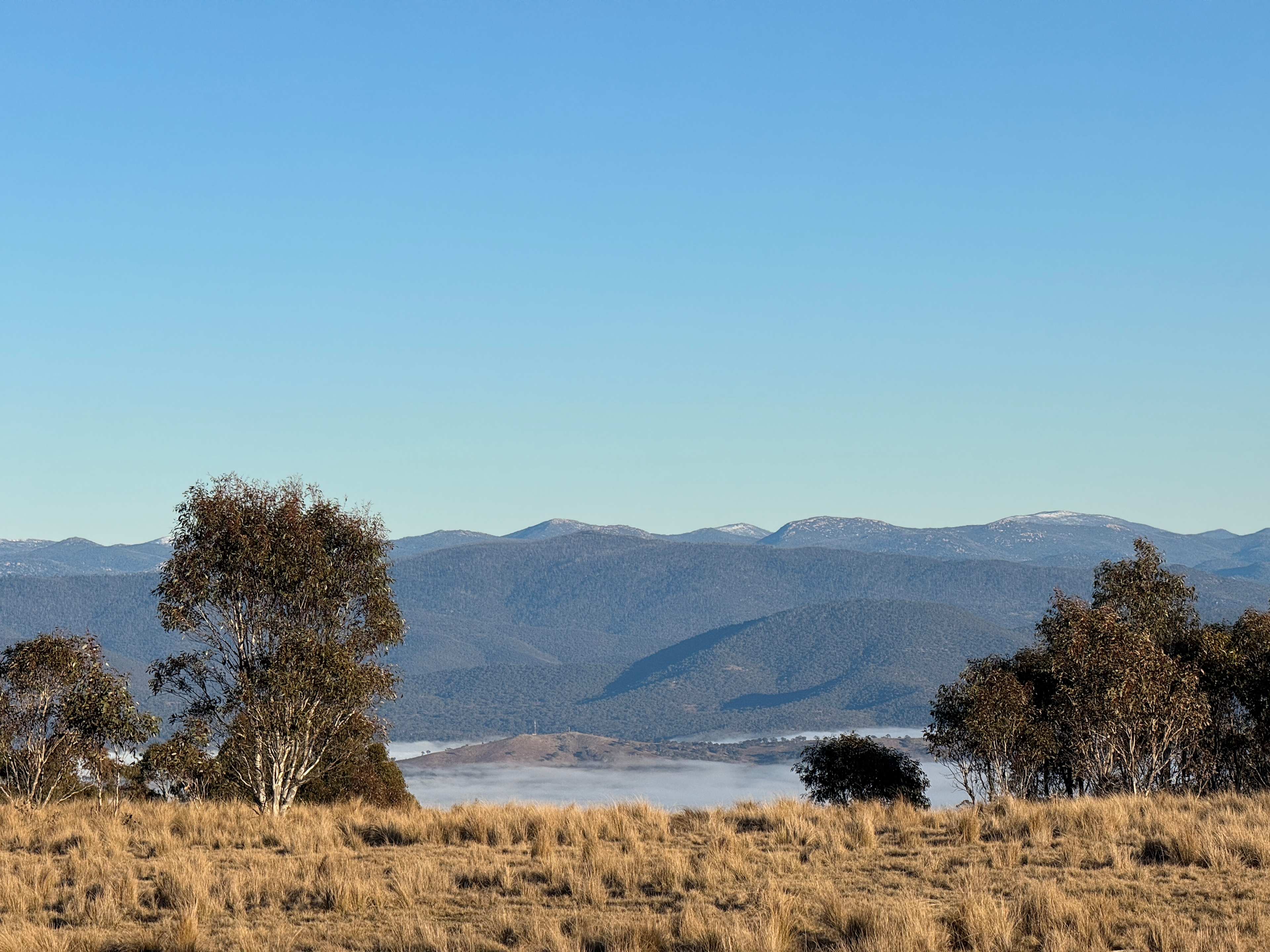 Tin Can Ridge