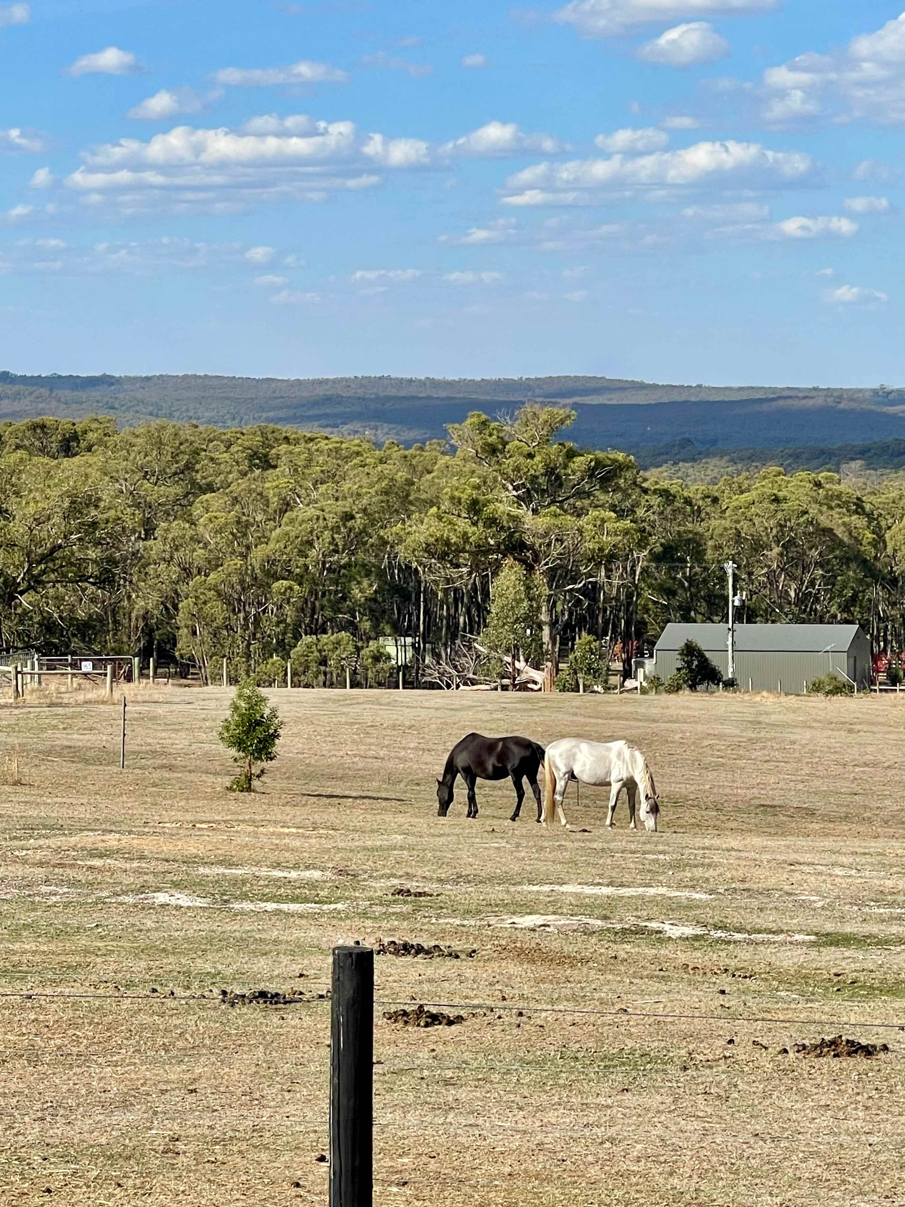 QD equestrian centre