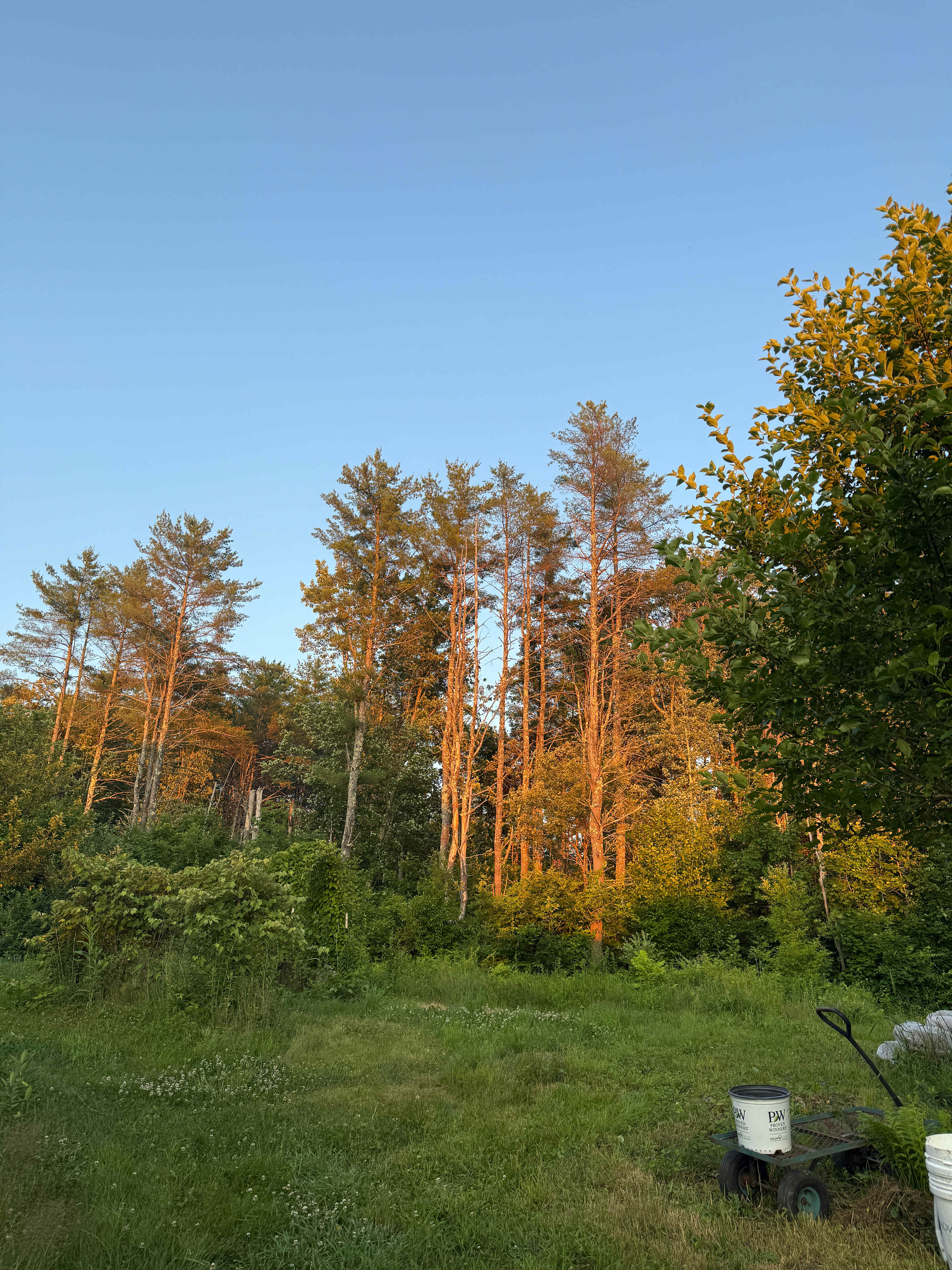 Tir na nOg Farm