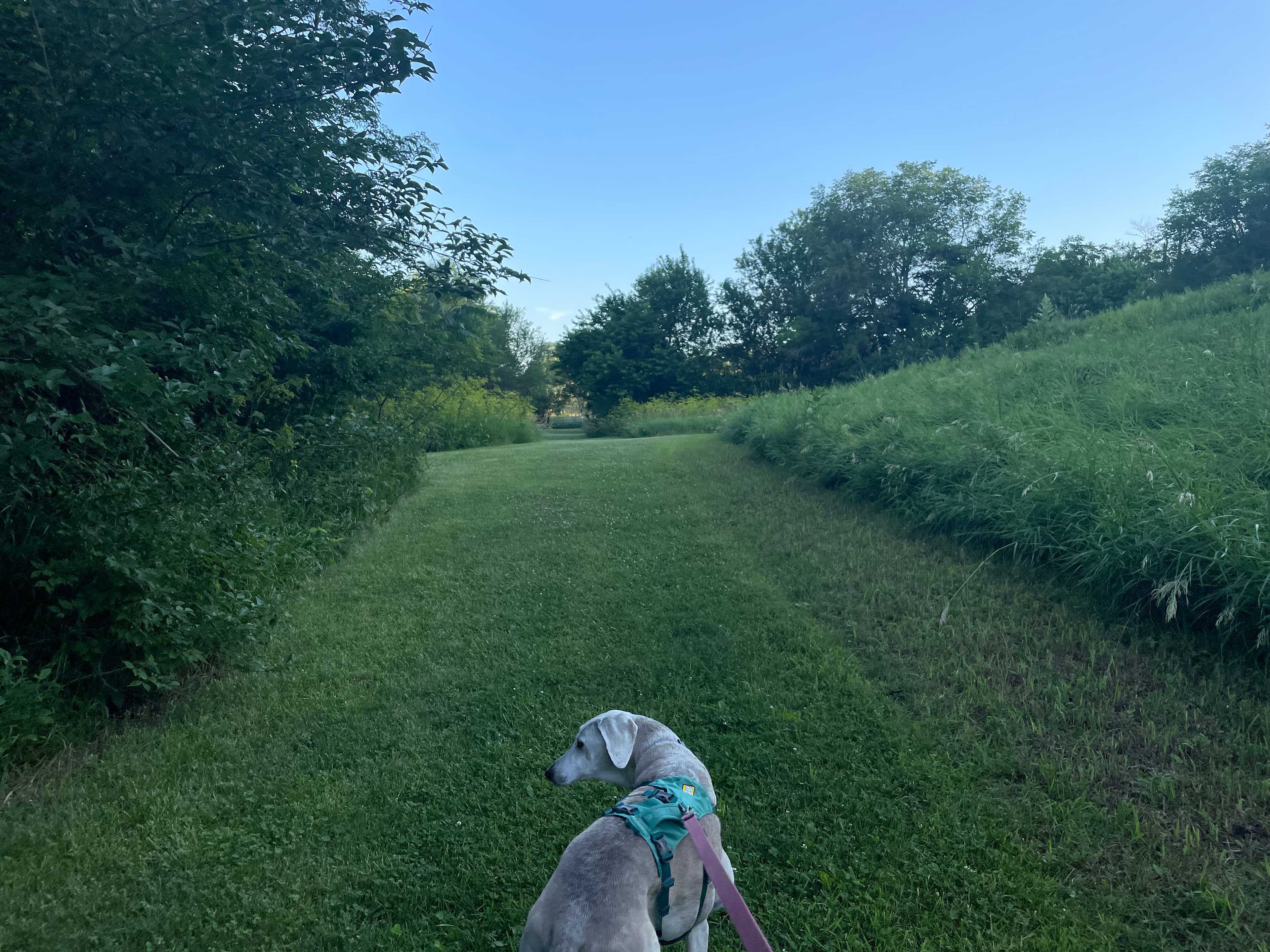Perfect evening walk