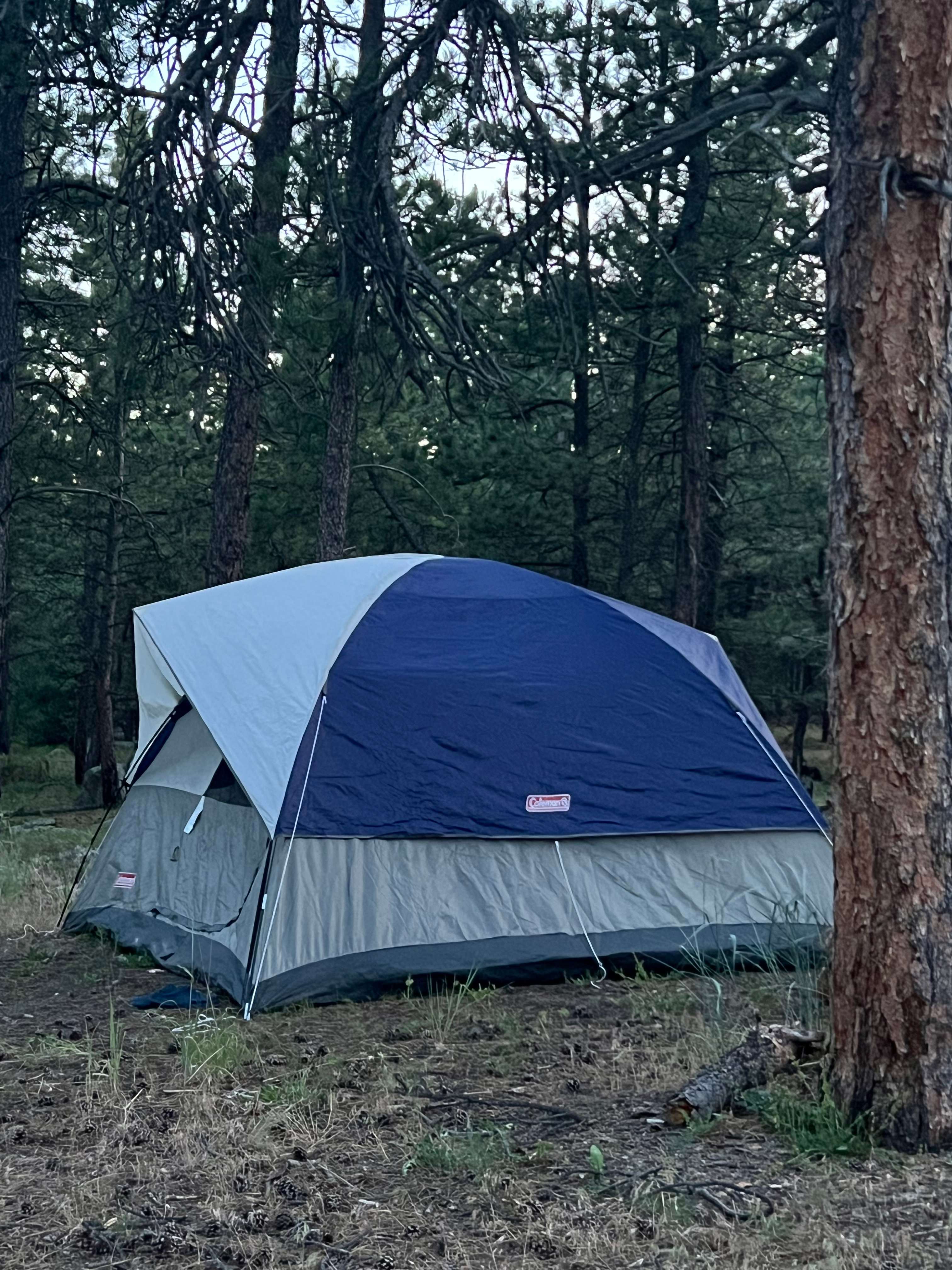 Stellar Mountain Escape