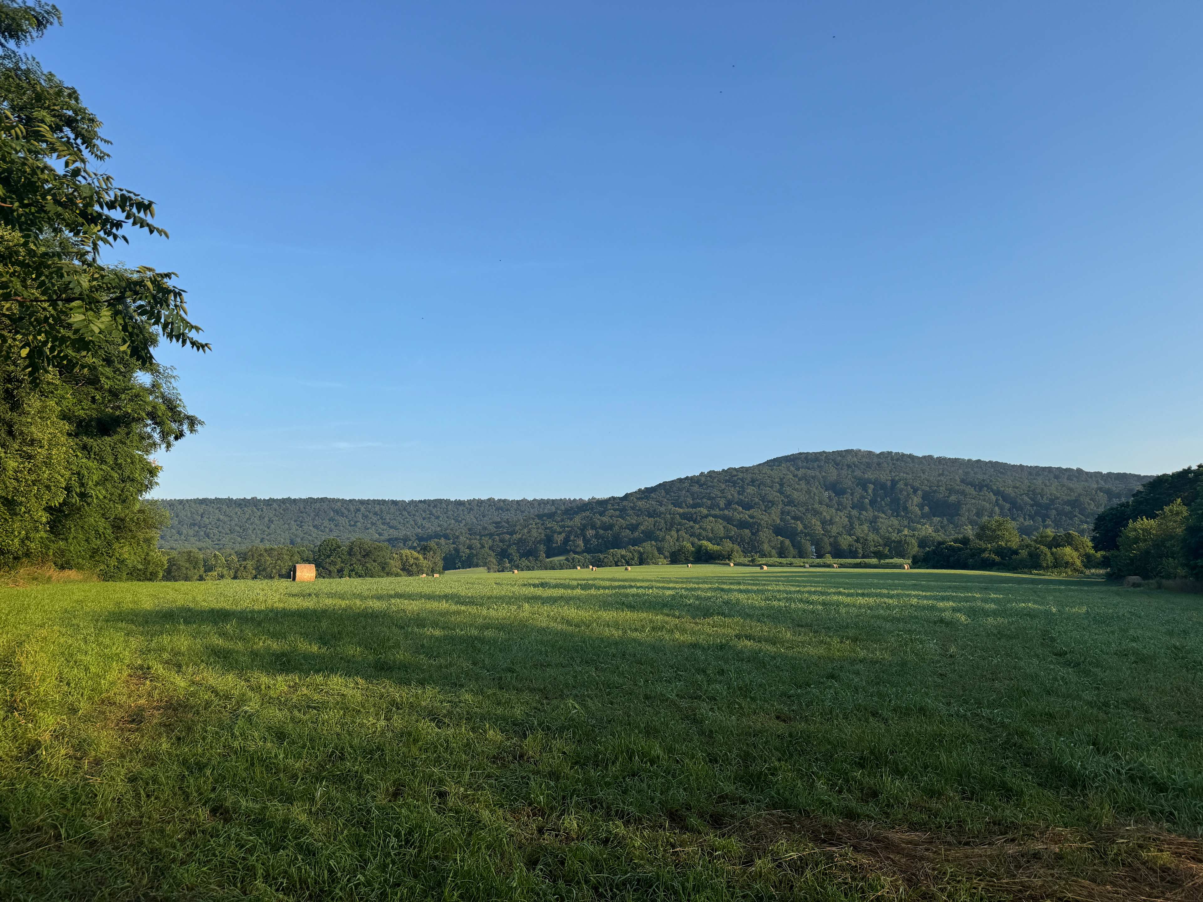 View from our campsite