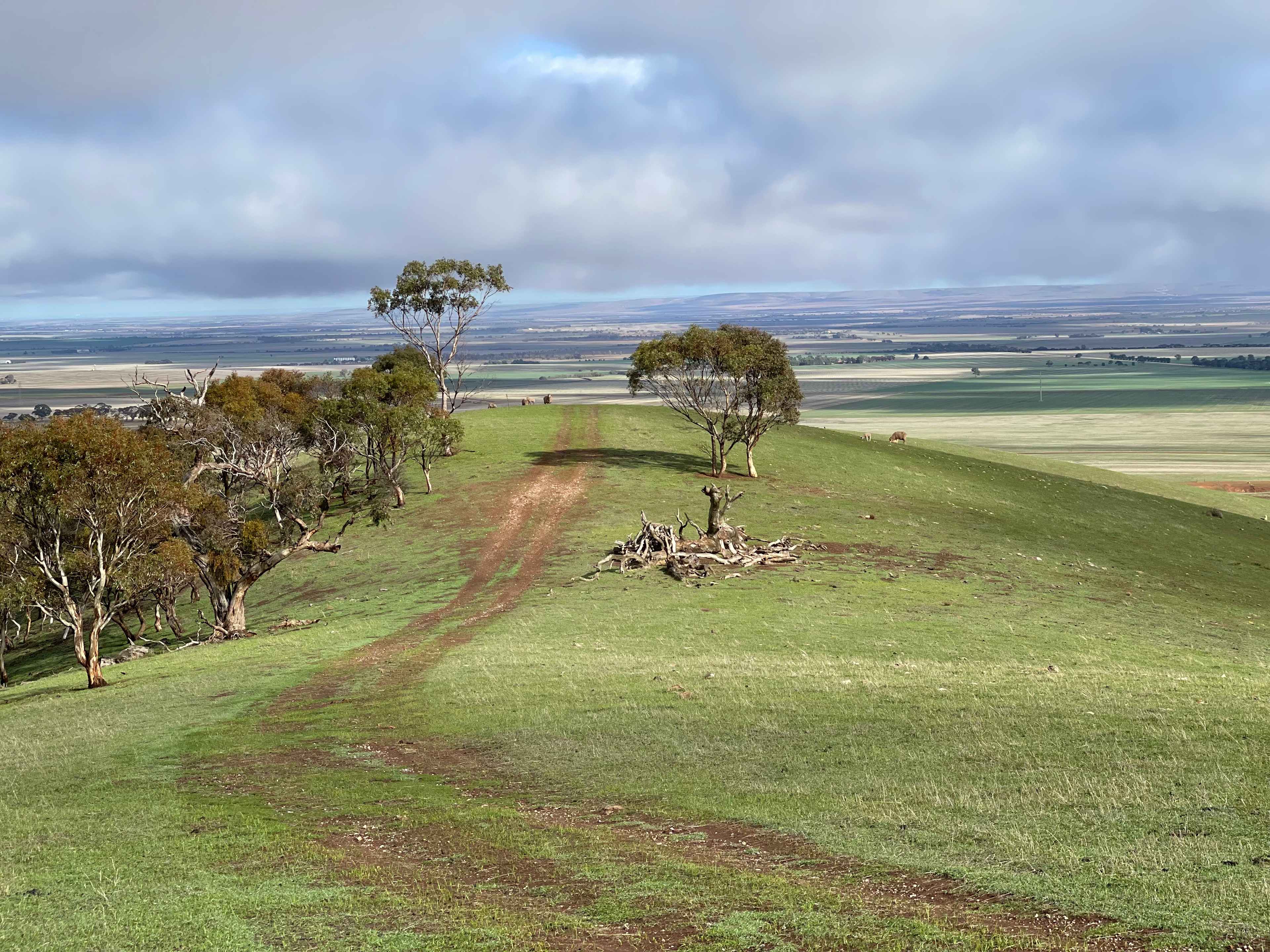 The Western most rise on Seven Sisters. Tucked down in the saddle of the hills with spectacular views. Walk down to the creek and dam, usually some wild ducks to be seen. This site can be a bit windy but generally not. You may get a visit from the sheep or kangaroos. 
The sunsets are spectacular. ENJOY. 
