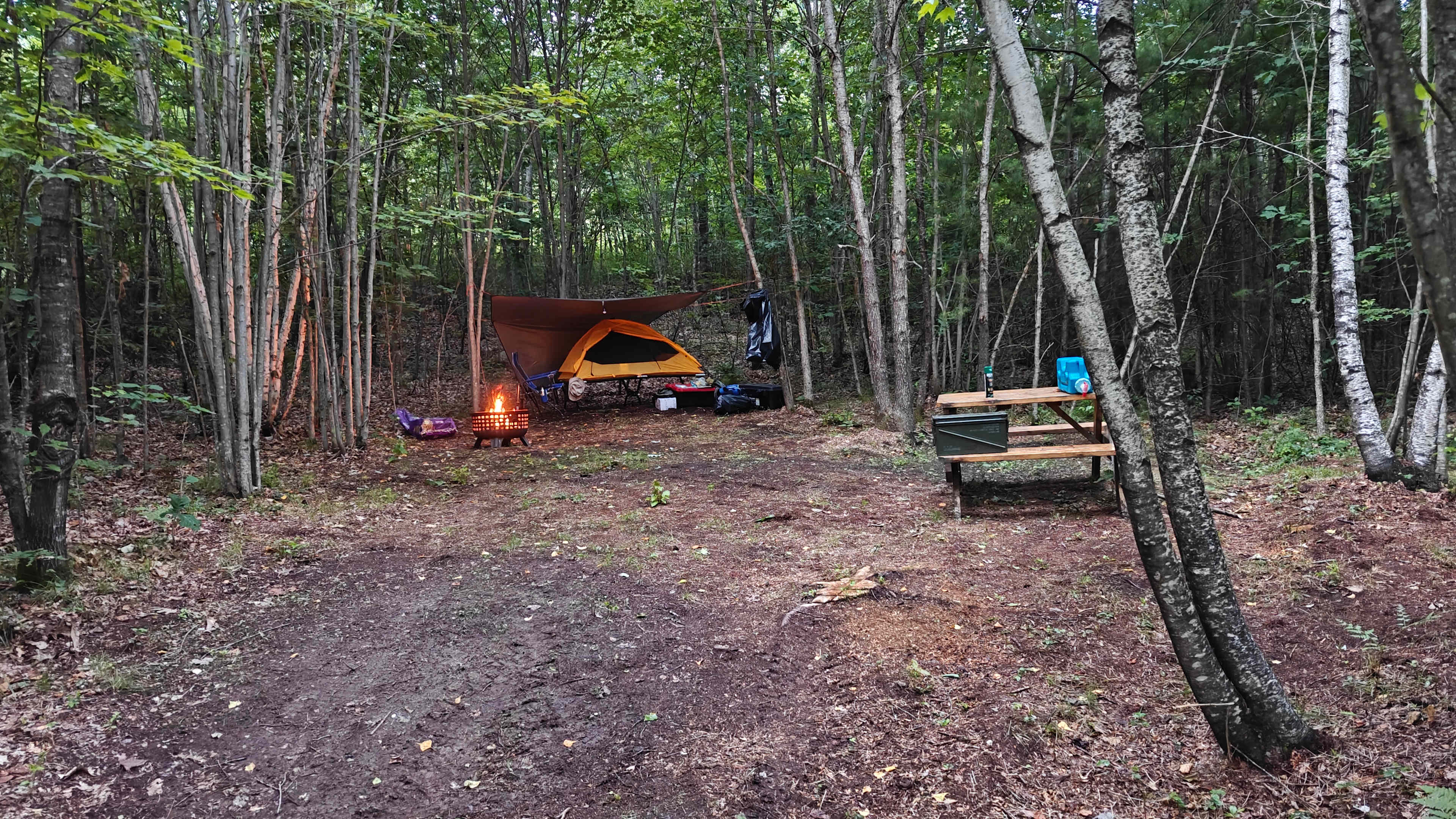 Campers Welcome to The Wolf Swamp.
