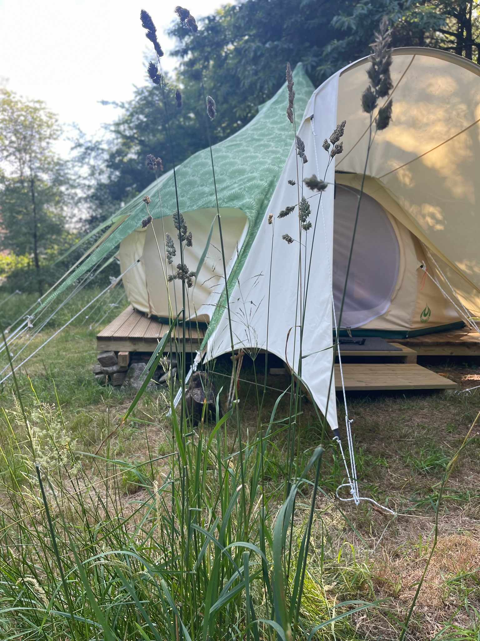 Moorland Holt (Dartmoor)