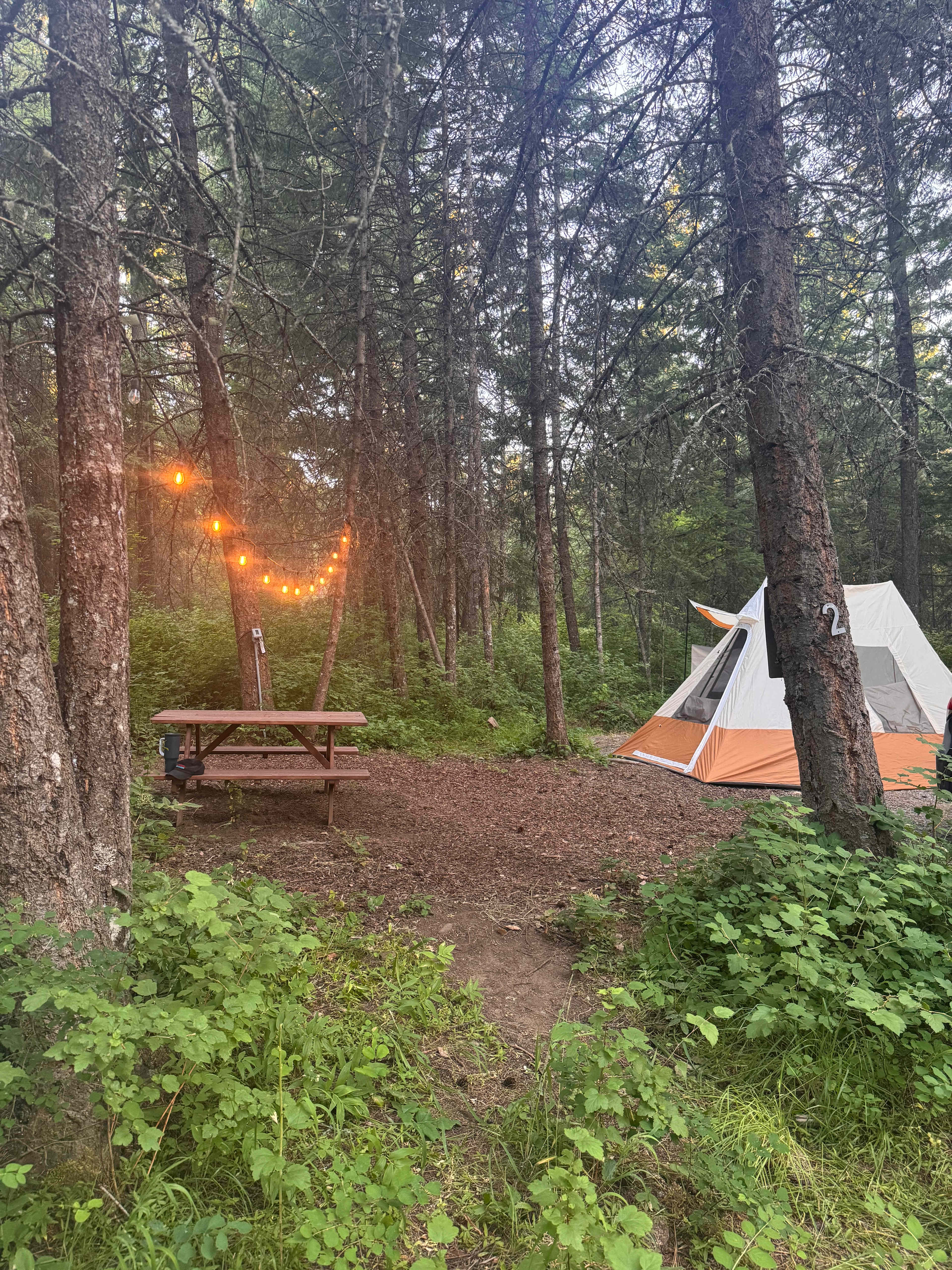 Site 2