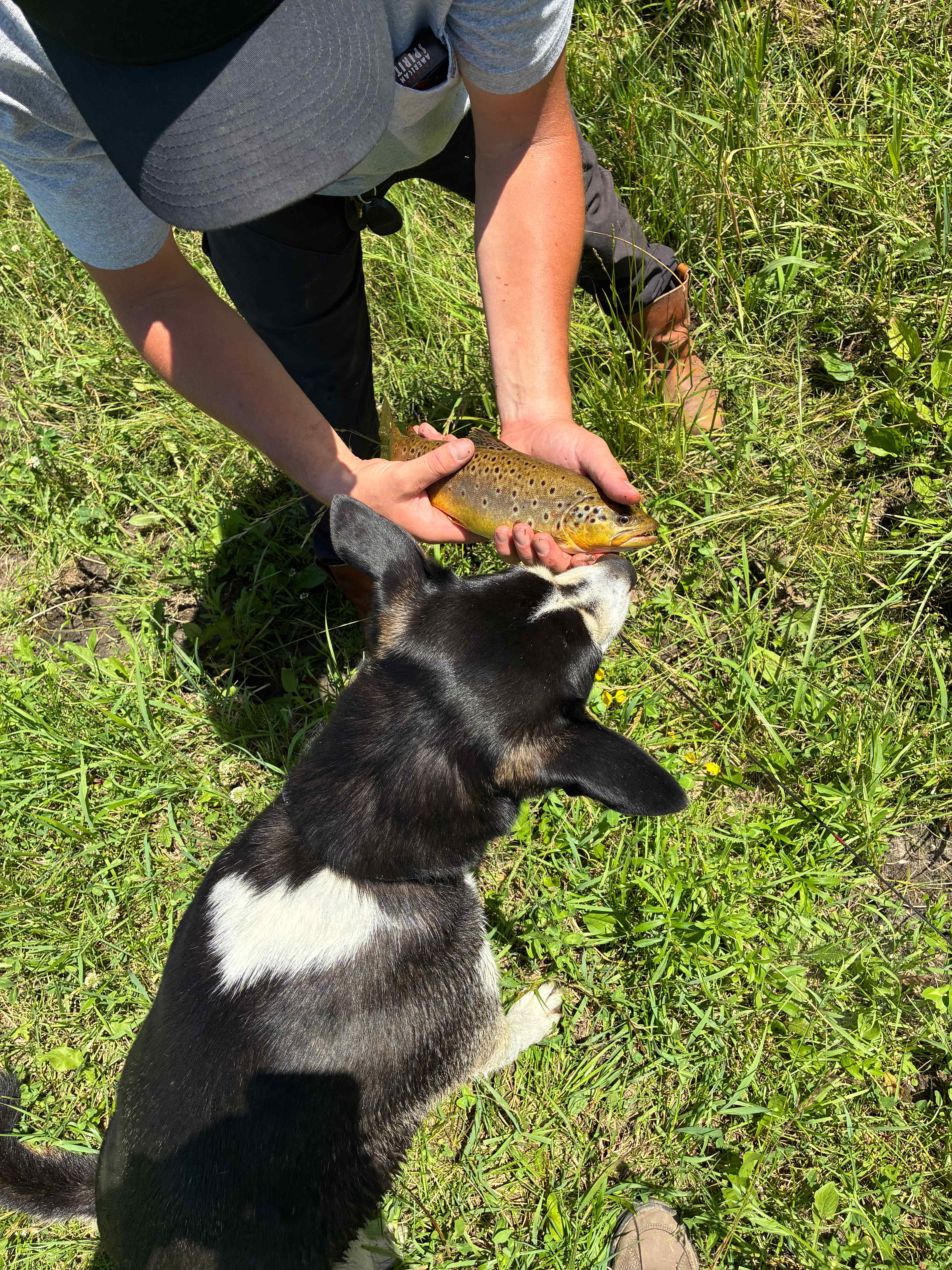 One of the many trout we caught. 